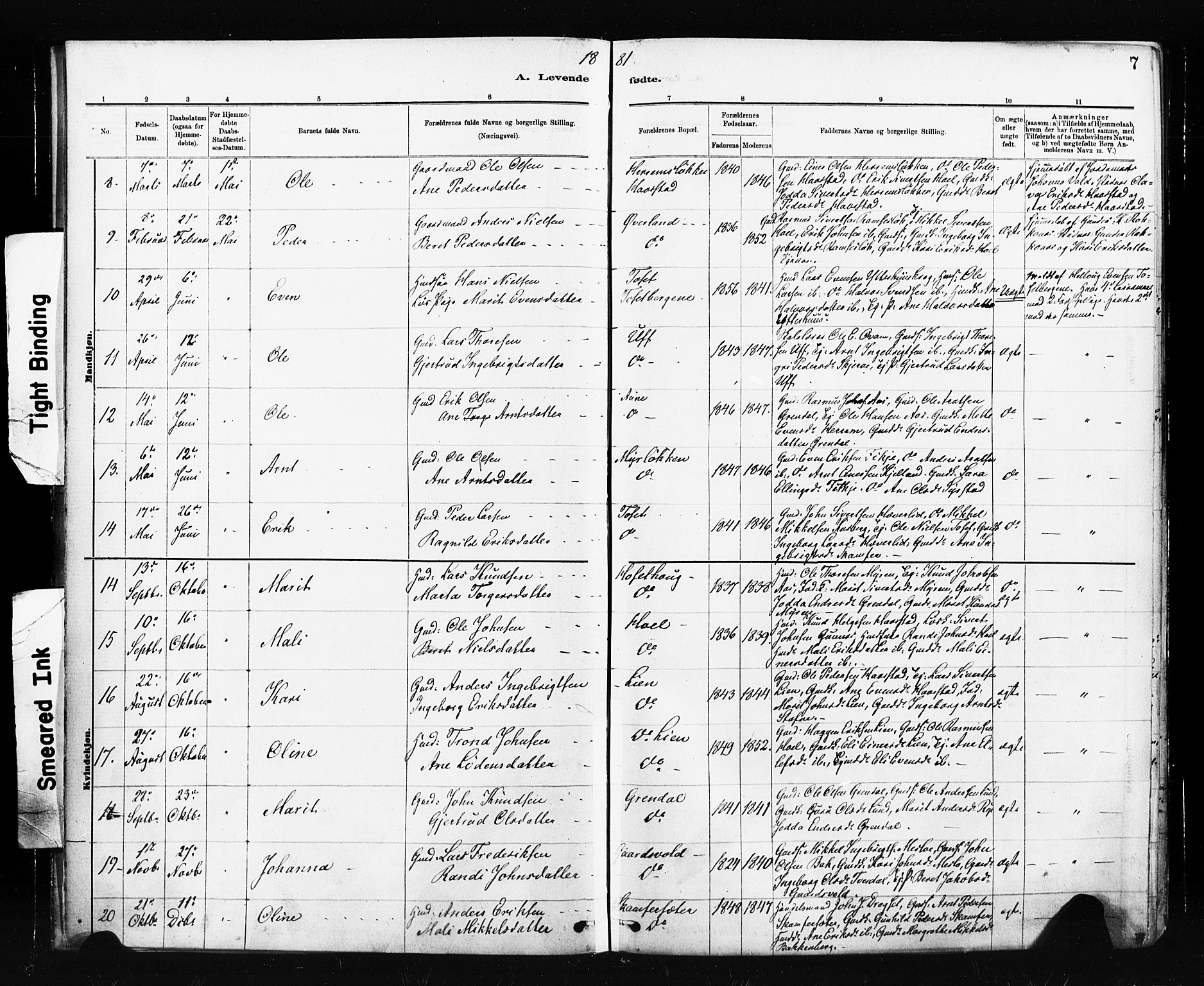 Ministerialprotokoller, klokkerbøker og fødselsregistre - Sør-Trøndelag, SAT/A-1456/674/L0871: Parish register (official) no. 674A03, 1880-1896, p. 7