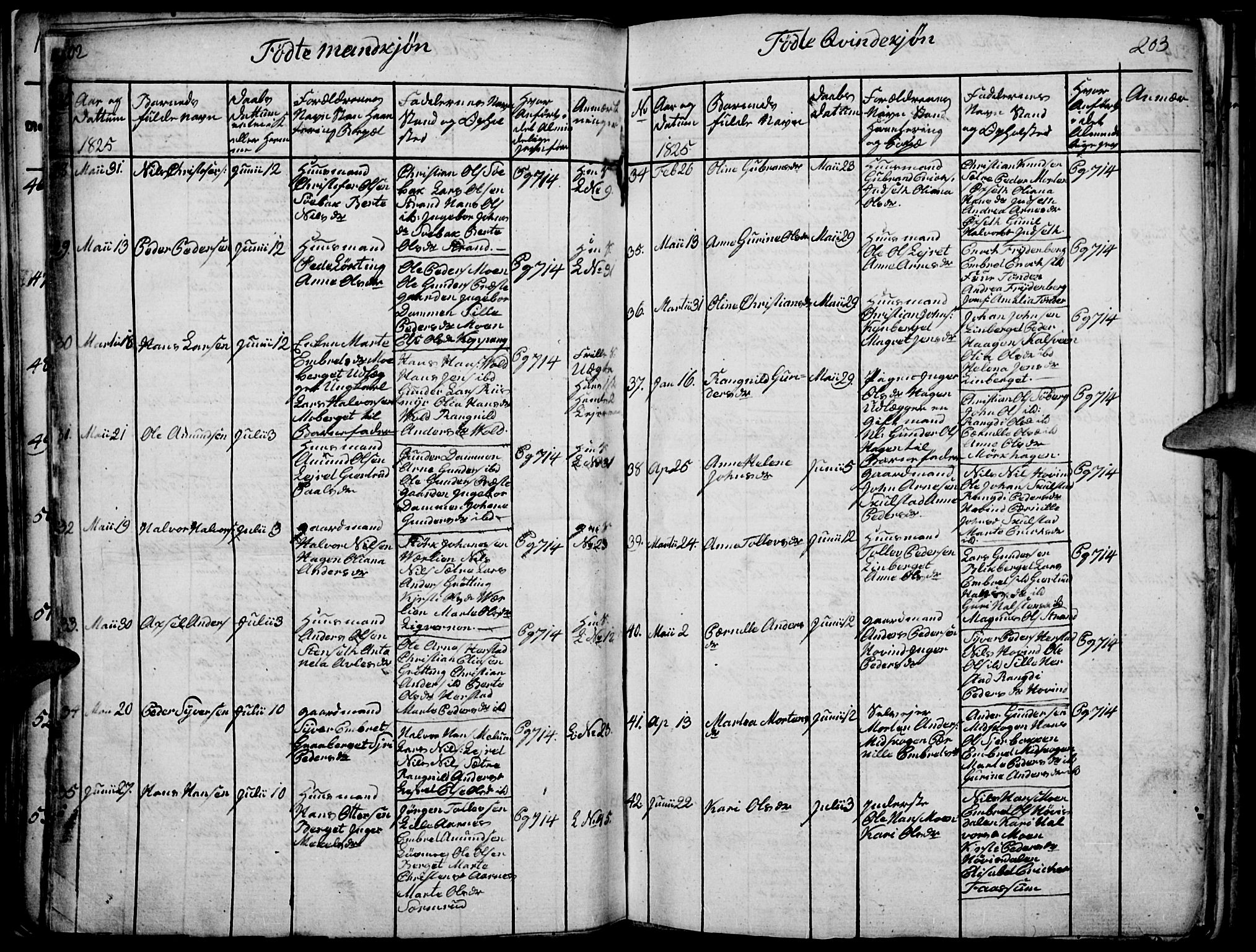 Elverum prestekontor, AV/SAH-PREST-044/H/Ha/Haa/L0007: Parish register (official) no. 7, 1815-1830, p. 202-203