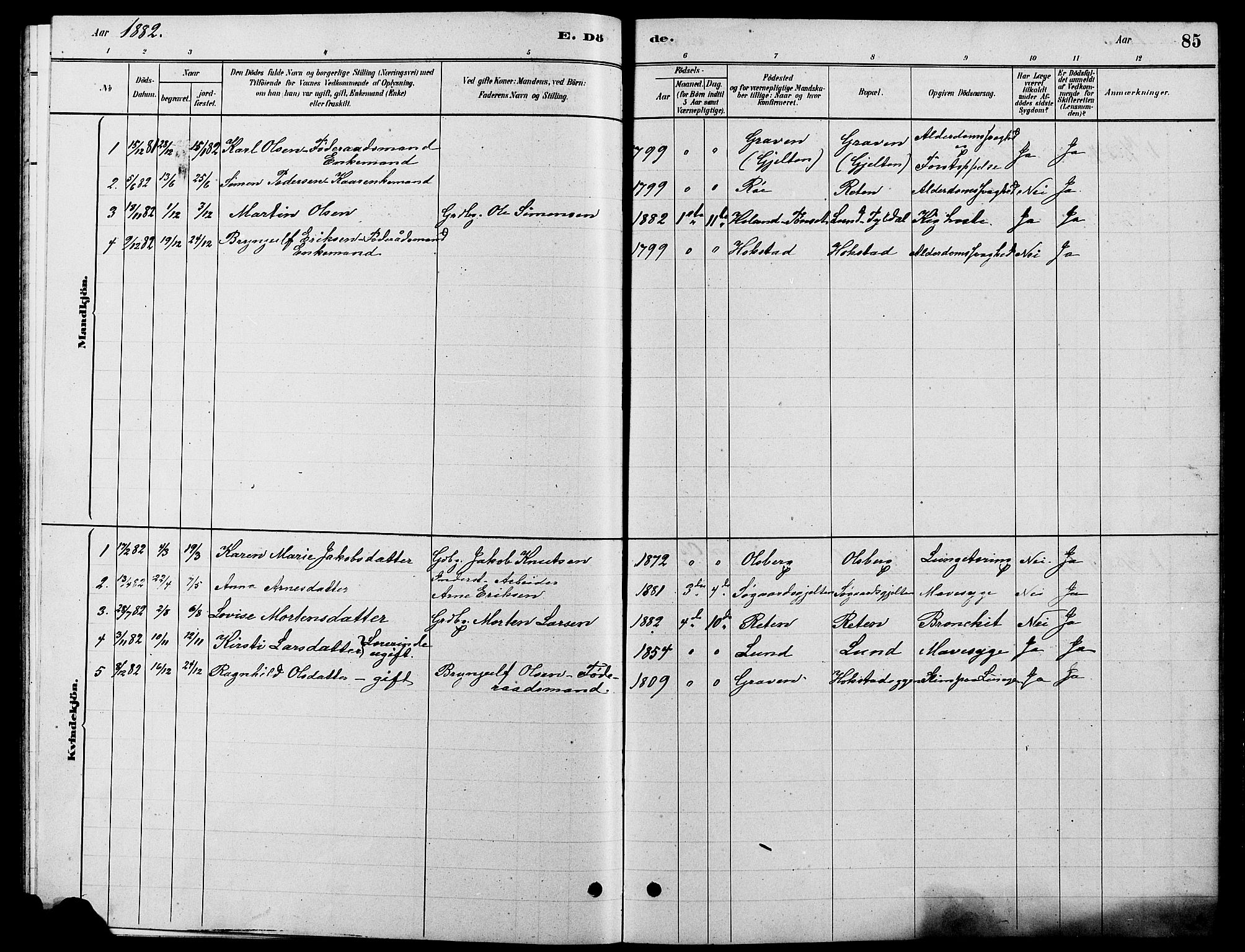 Tynset prestekontor, SAH/PREST-058/H/Ha/Hab/L0007: Parish register (copy) no. 7, 1880-1901, p. 85