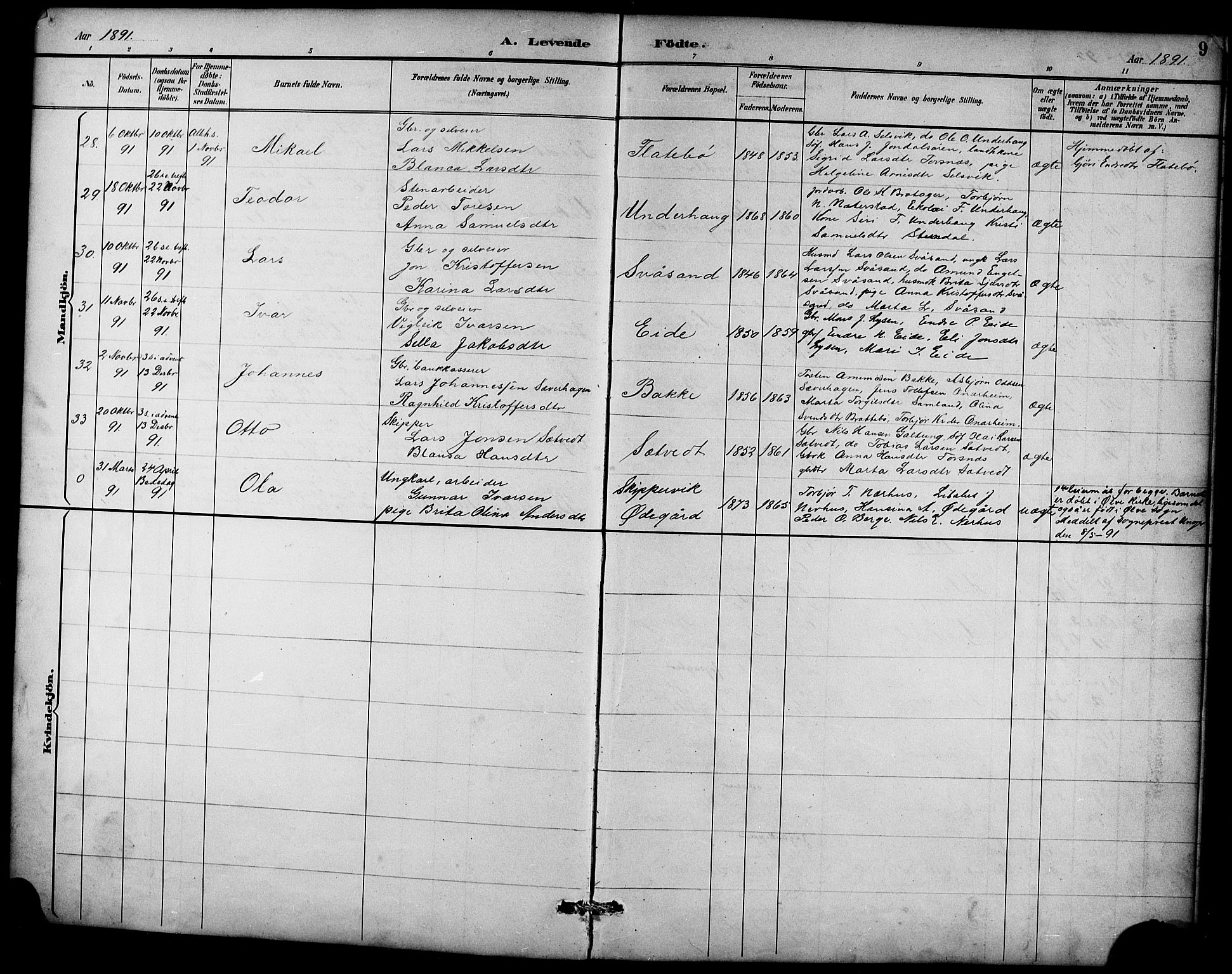 Ullensvang sokneprestembete, AV/SAB-A-78701/H/Hab: Parish register (copy) no. D 1, 1891-1908, p. 9