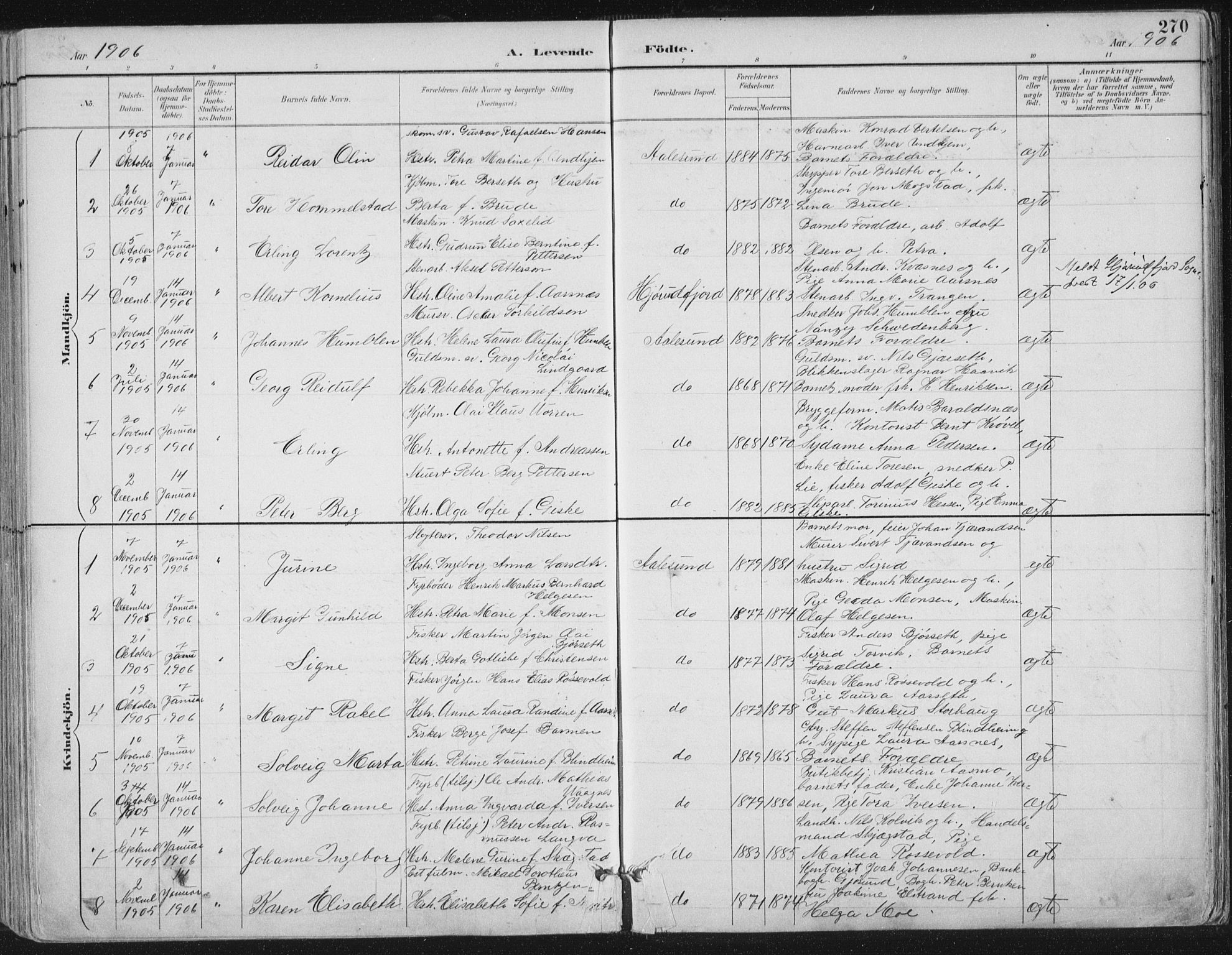 Ministerialprotokoller, klokkerbøker og fødselsregistre - Møre og Romsdal, SAT/A-1454/529/L0456: Parish register (official) no. 529A06, 1894-1906, p. 270