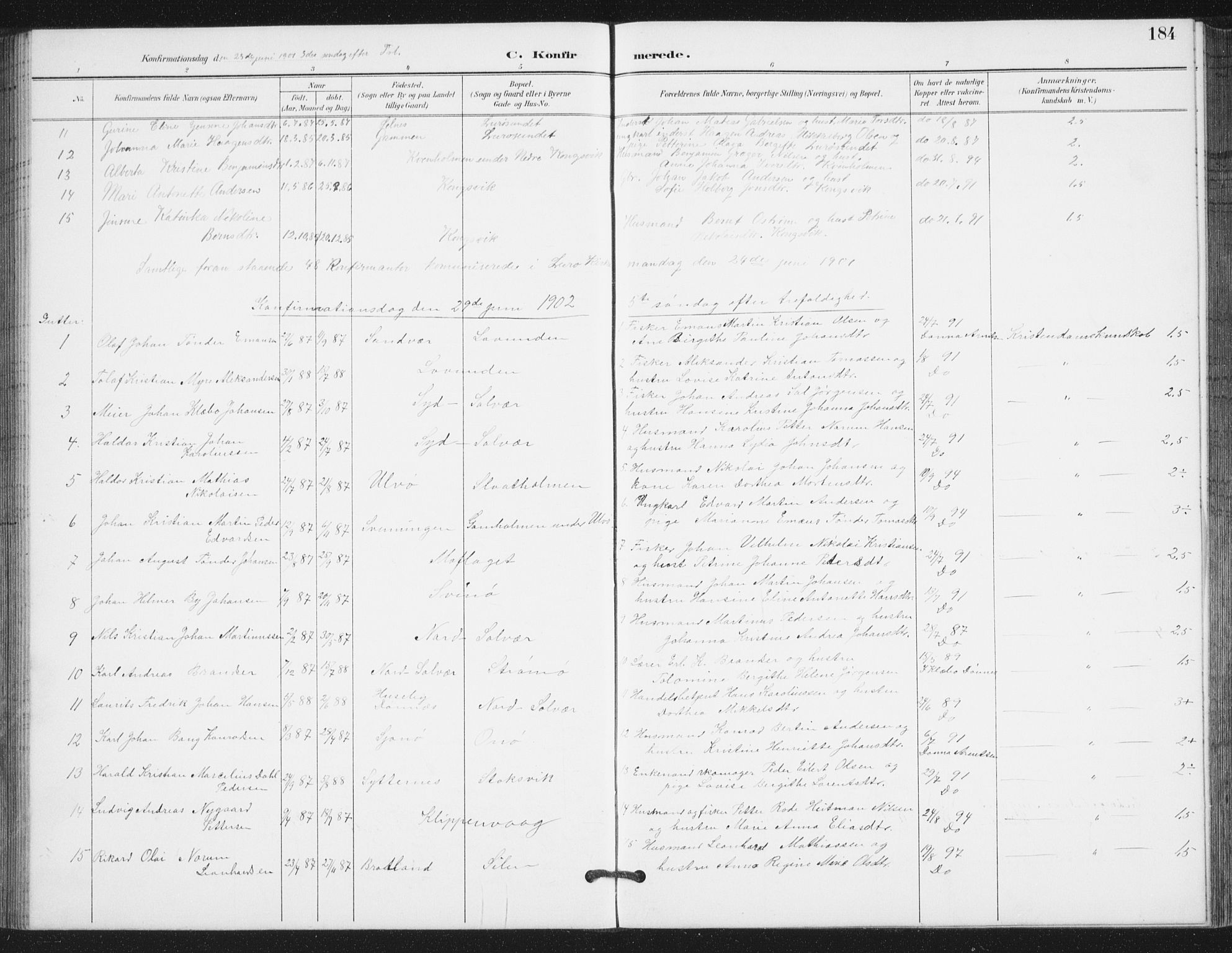 Ministerialprotokoller, klokkerbøker og fødselsregistre - Nordland, SAT/A-1459/839/L0573: Parish register (copy) no. 839C03, 1892-1917, p. 184