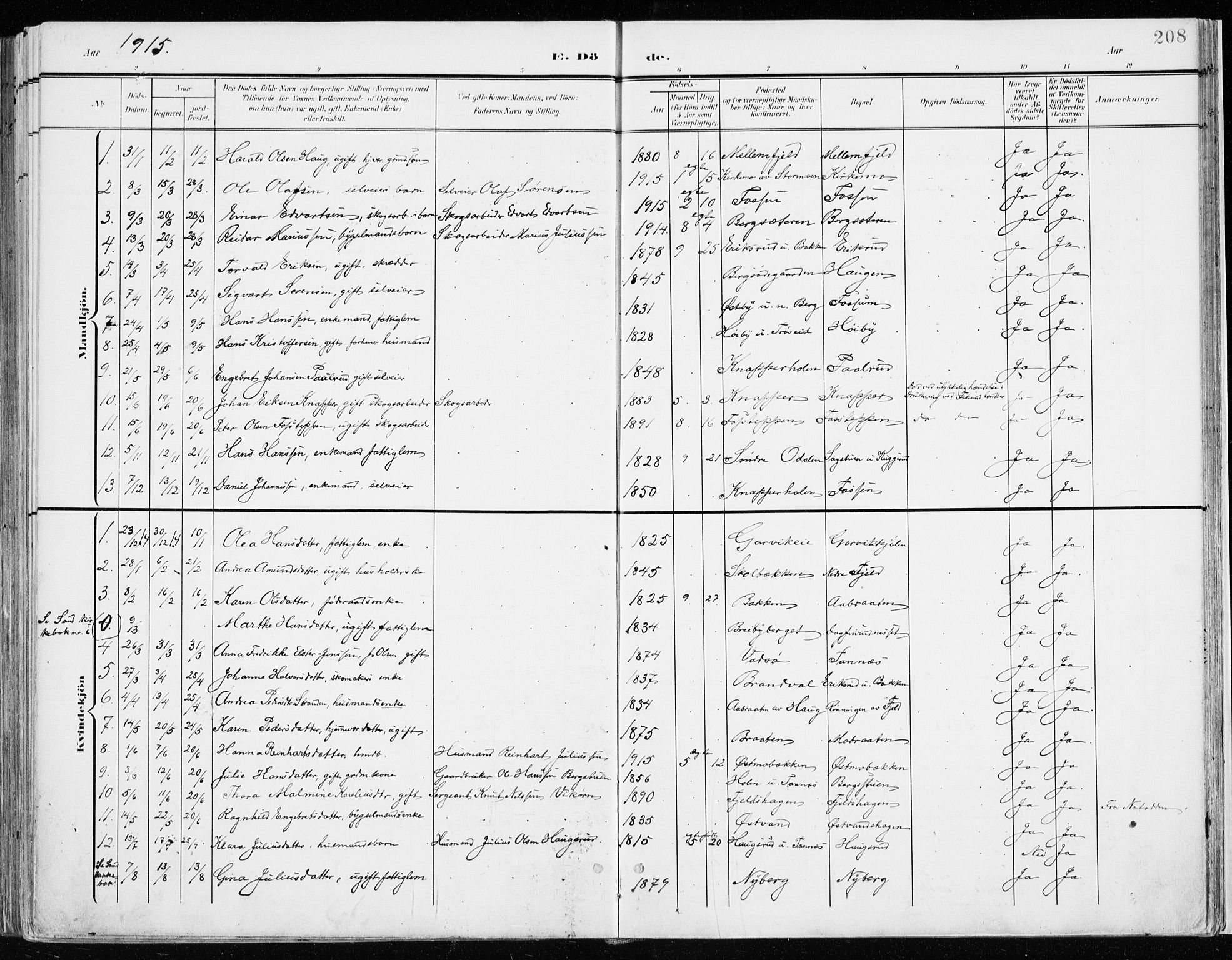 Nord-Odal prestekontor, SAH/PREST-032/H/Ha/Haa/L0009: Parish register (official) no. 9, 1902-1926, p. 208