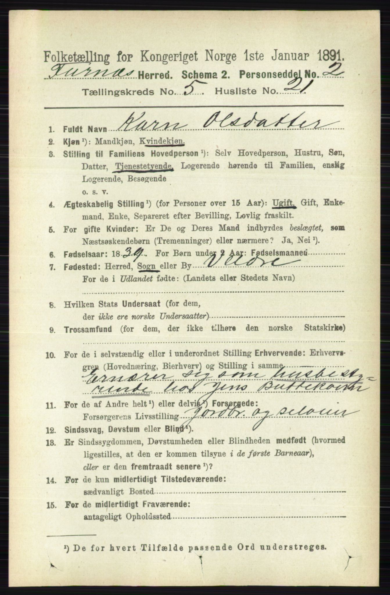 RA, Census 1891 for 0413 Furnes herred, 1891, p. 3305