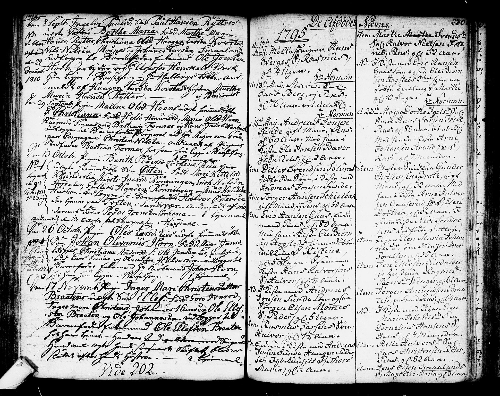 Kongsberg kirkebøker, SAKO/A-22/F/Fa/L0007: Parish register (official) no. I 7, 1795-1816, p. 230
