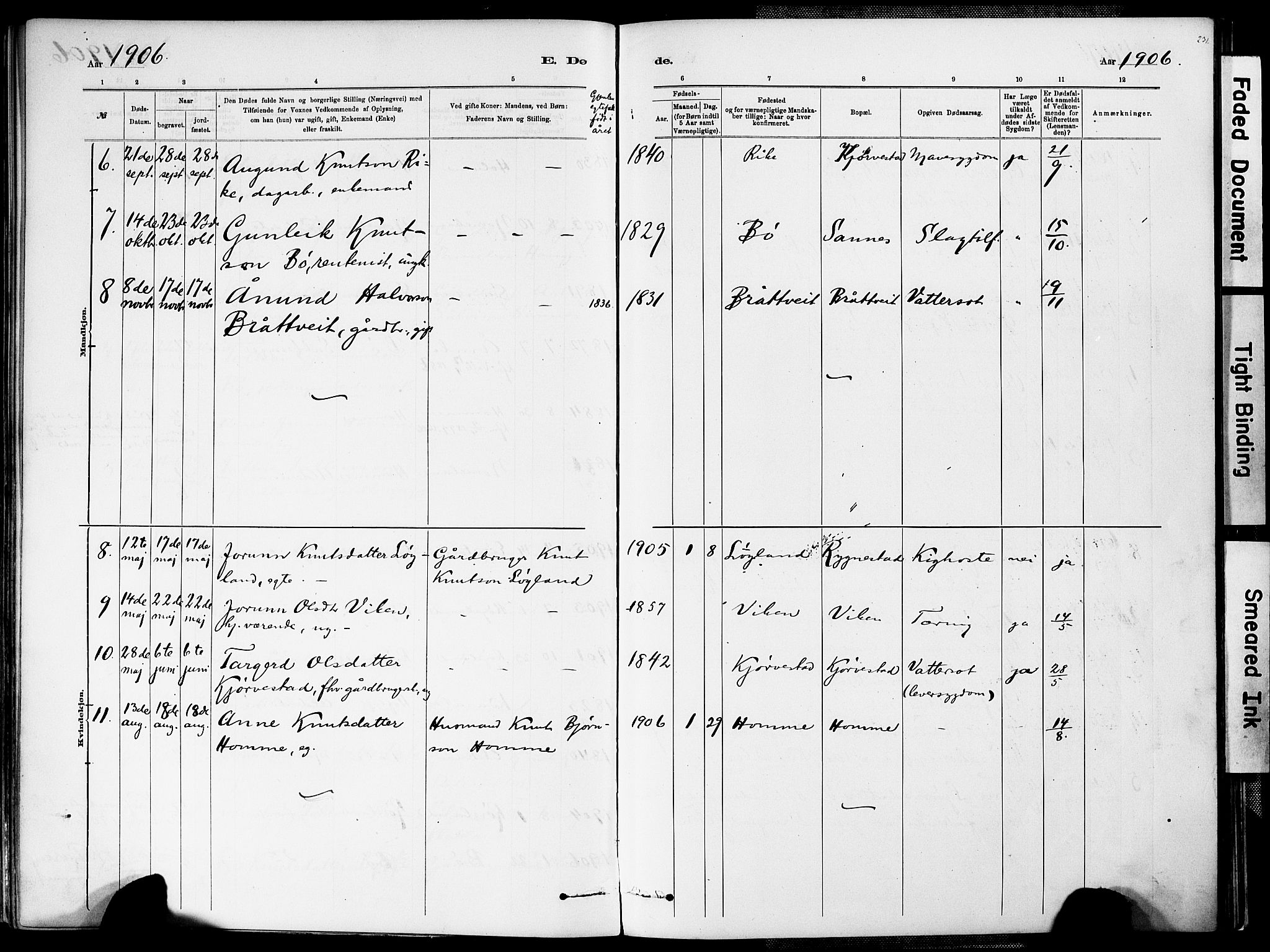 Valle sokneprestkontor, AV/SAK-1111-0044/F/Fa/Fac/L0009: Parish register (official) no. A 9, 1882-1913, p. 231