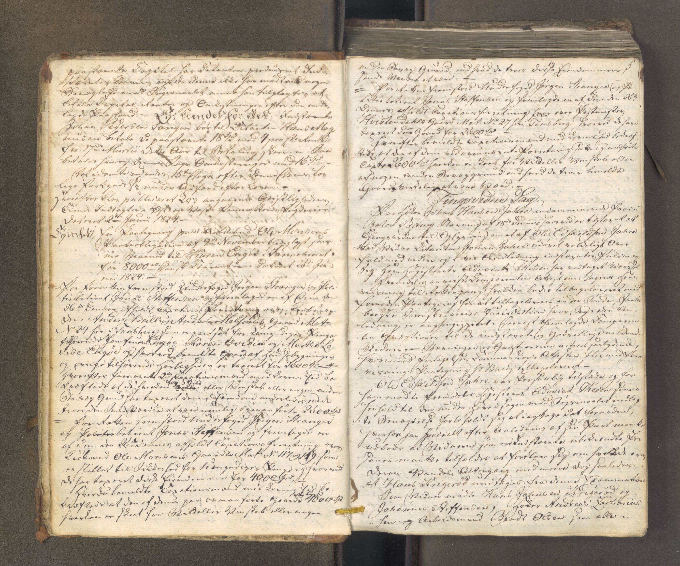 Tønsberg byfogd, AV/SAKO-A-224/F/Fa/L0024: Tingbok, 1824-1836, p. 4-5