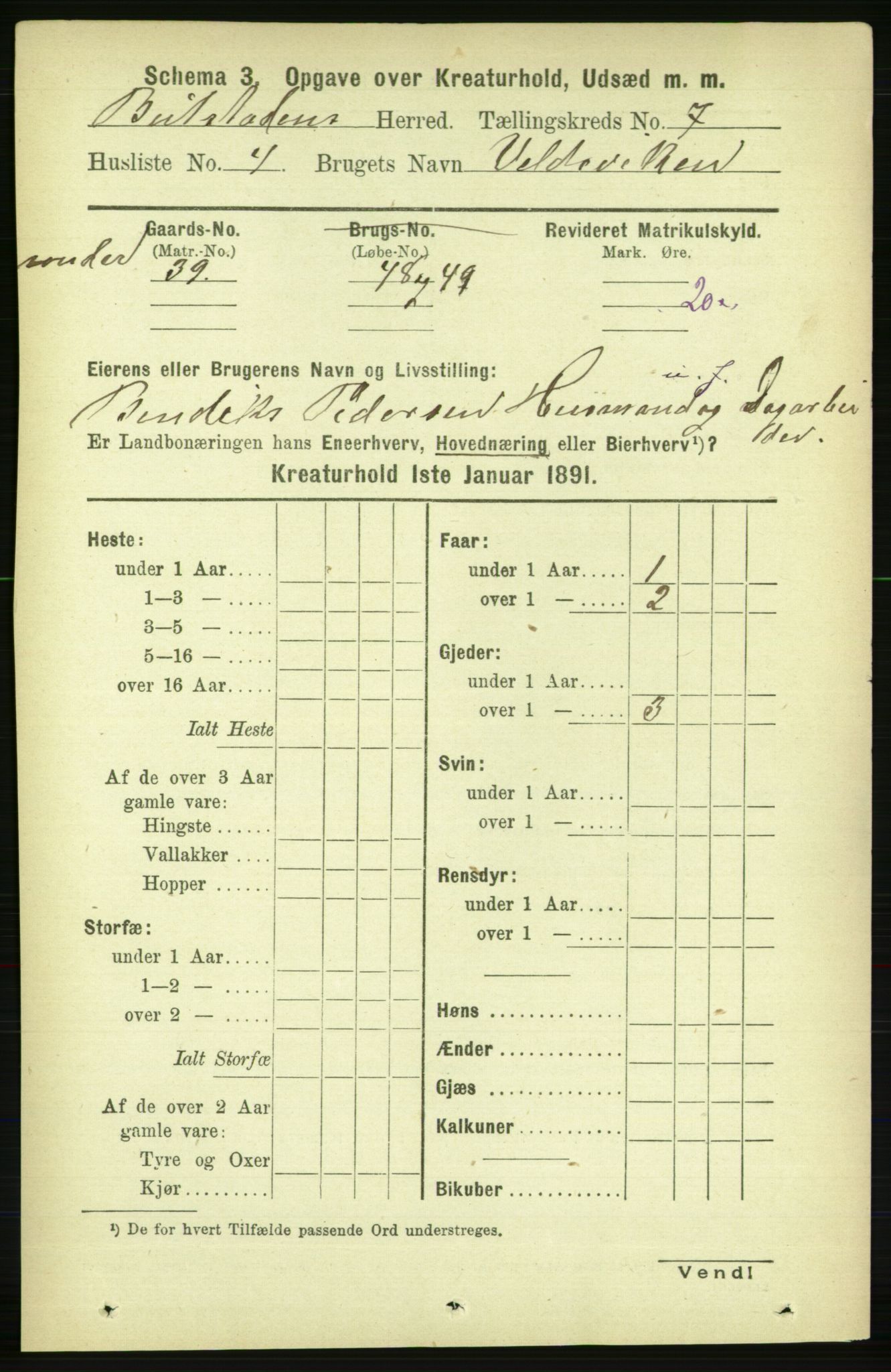 RA, 1891 census for 1727 Beitstad, 1891, p. 5903