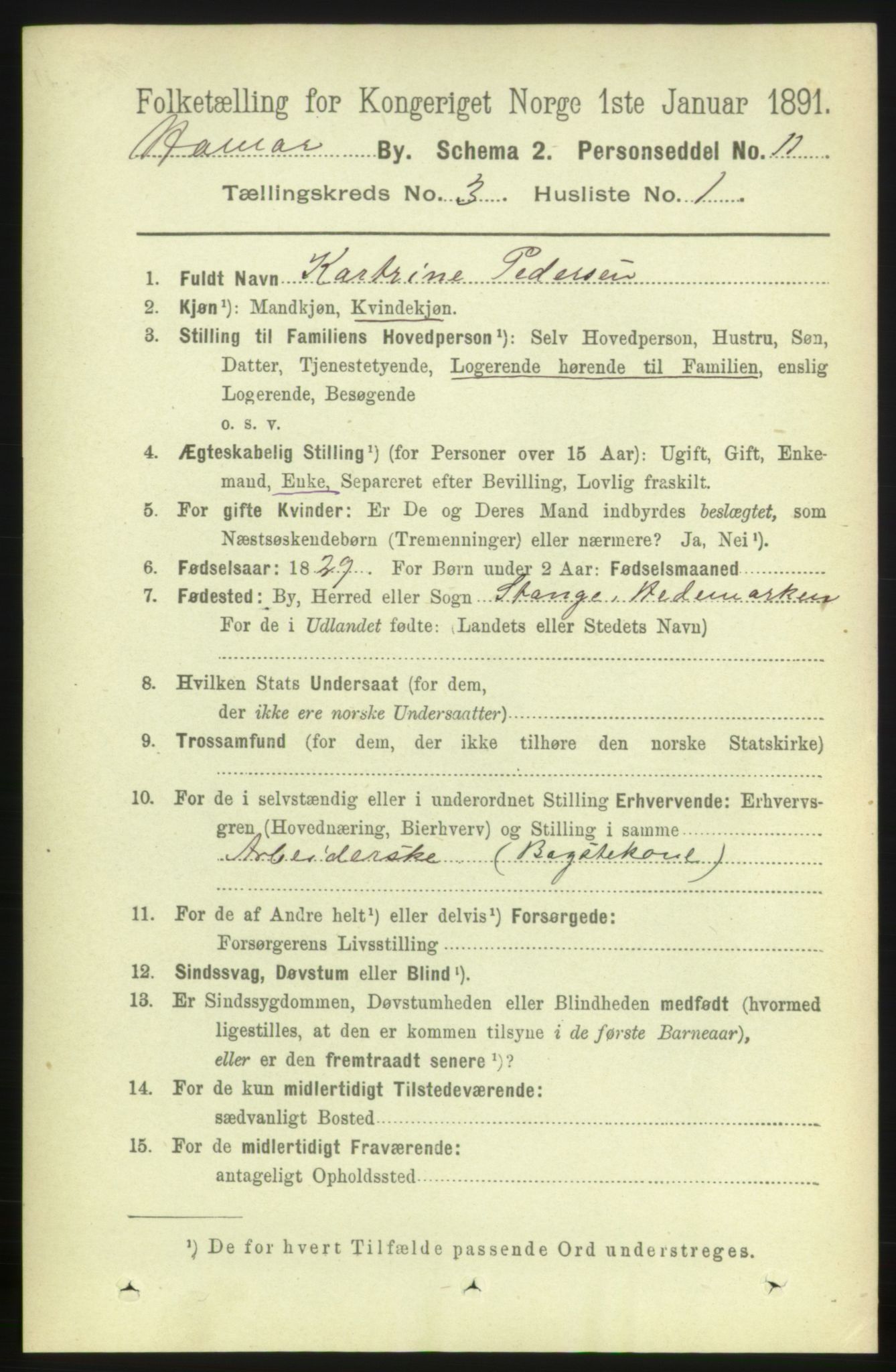 RA, 1891 census for 0401 Hamar, 1891, p. 1675