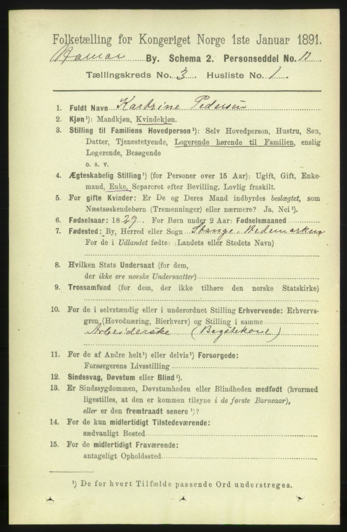 RA, 1891 census for 0401 Hamar, 1891, p. 1675