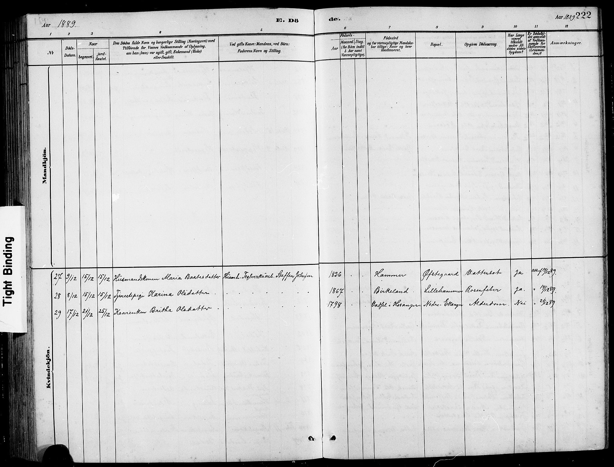 Hamre sokneprestembete, AV/SAB-A-75501/H/Ha/Hab: Parish register (copy) no. B 3, 1881-1898, p. 222