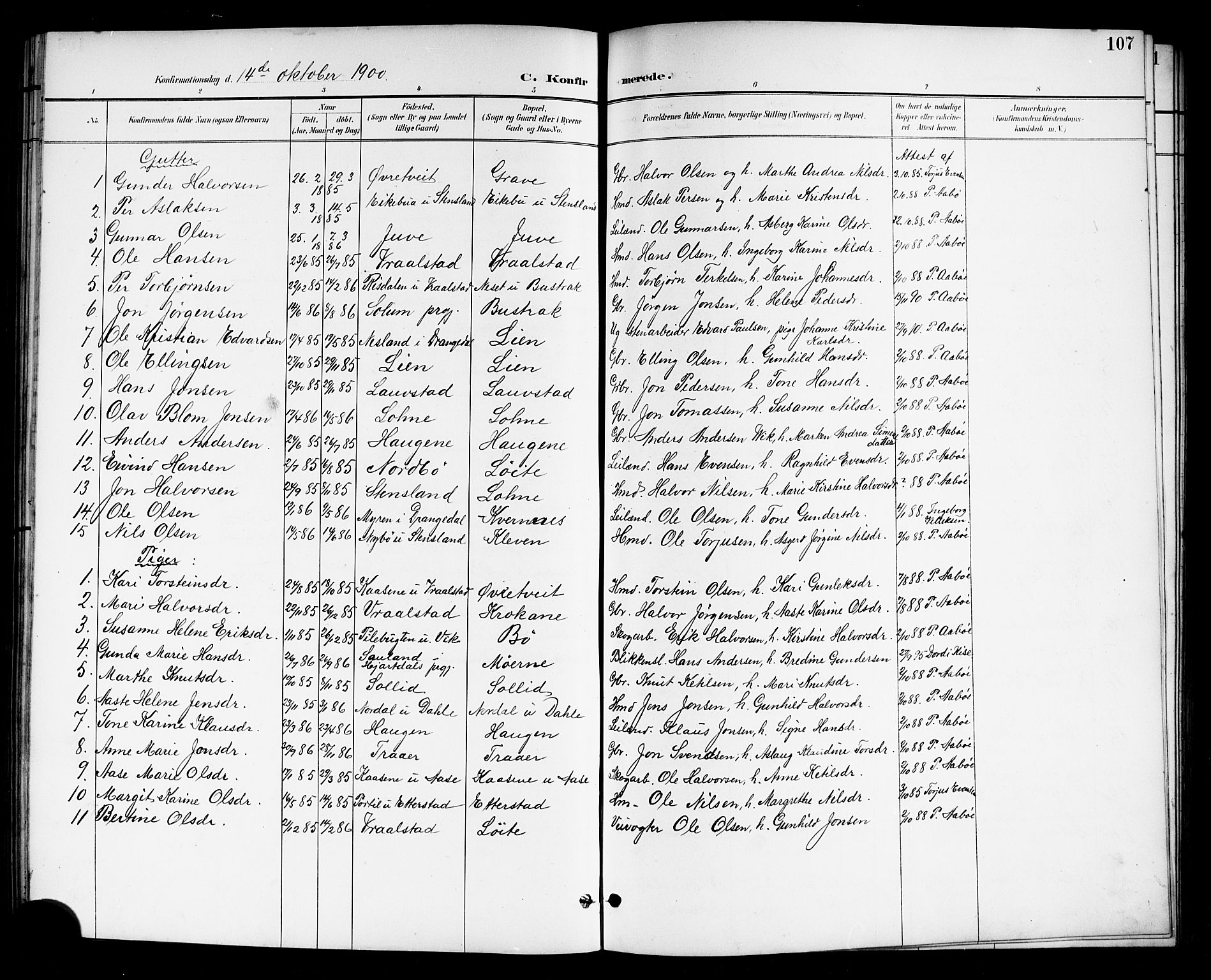 Drangedal kirkebøker, SAKO/A-258/G/Gb/L0002: Parish register (copy) no. II 2, 1895-1918, p. 107