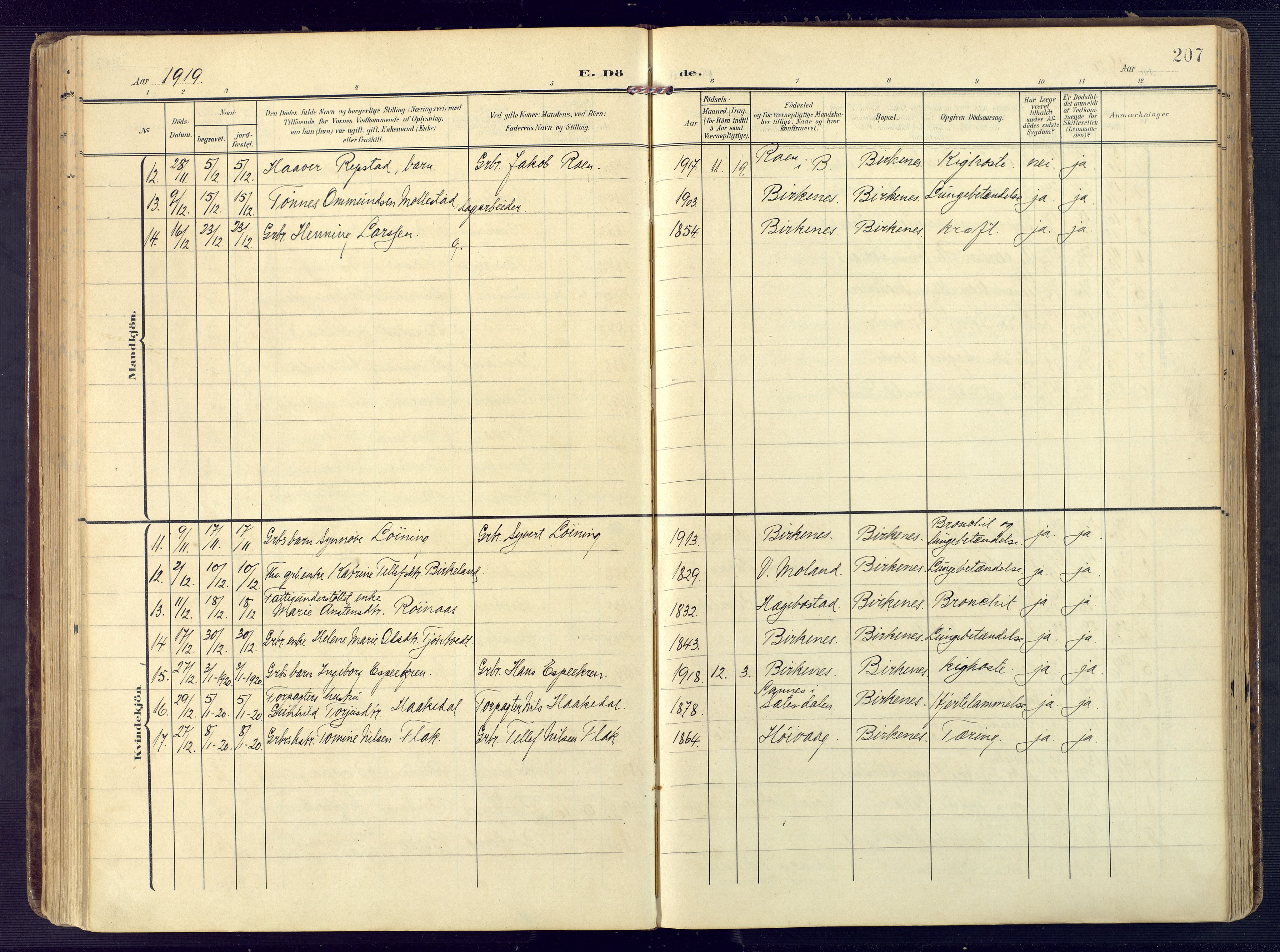 Birkenes sokneprestkontor, SAK/1111-0004/F/Fa/L0006: Parish register (official) no. A 6, 1908-1932, p. 207