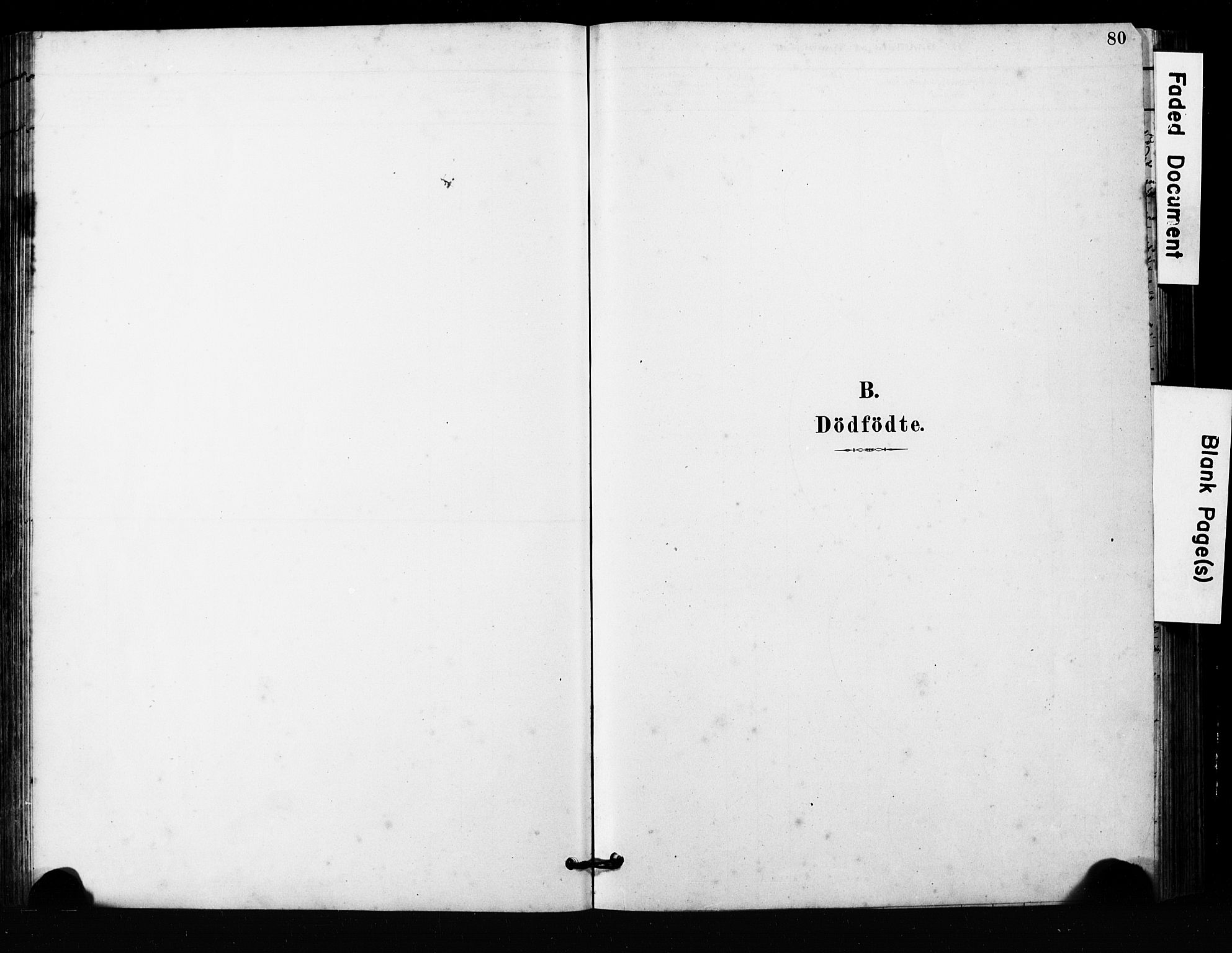 Ministerialprotokoller, klokkerbøker og fødselsregistre - Møre og Romsdal, SAT/A-1454/563/L0737: Parish register (copy) no. 563C01, 1878-1916, p. 80