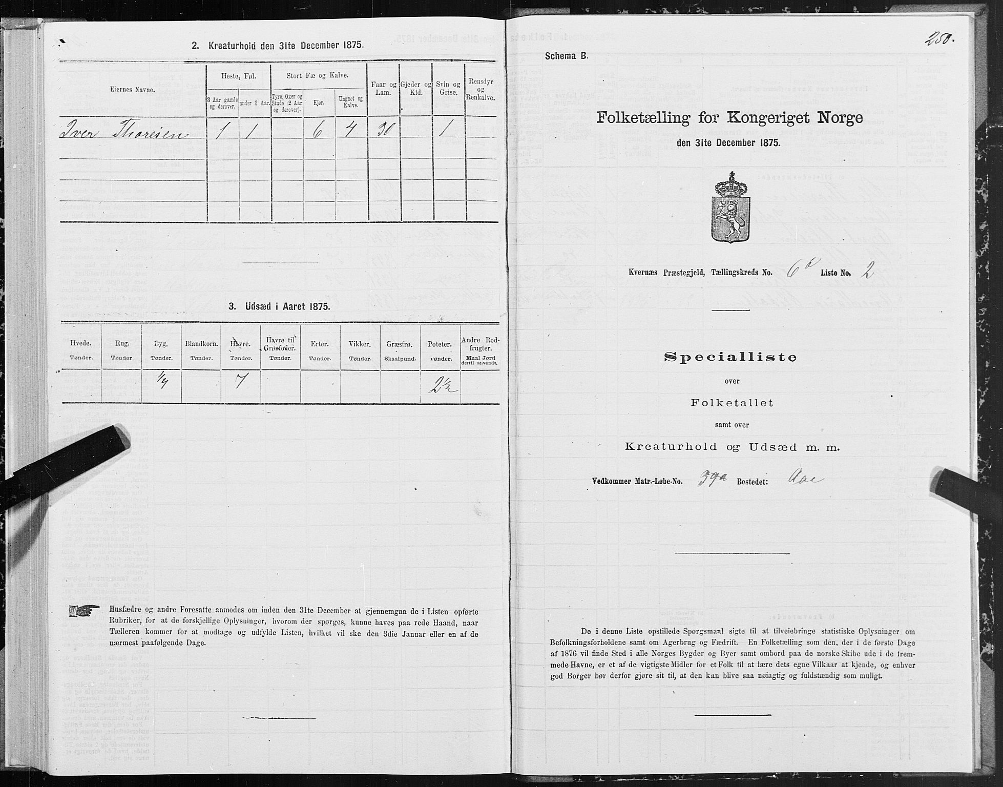 SAT, 1875 census for 1553P Kvernes, 1875, p. 3250