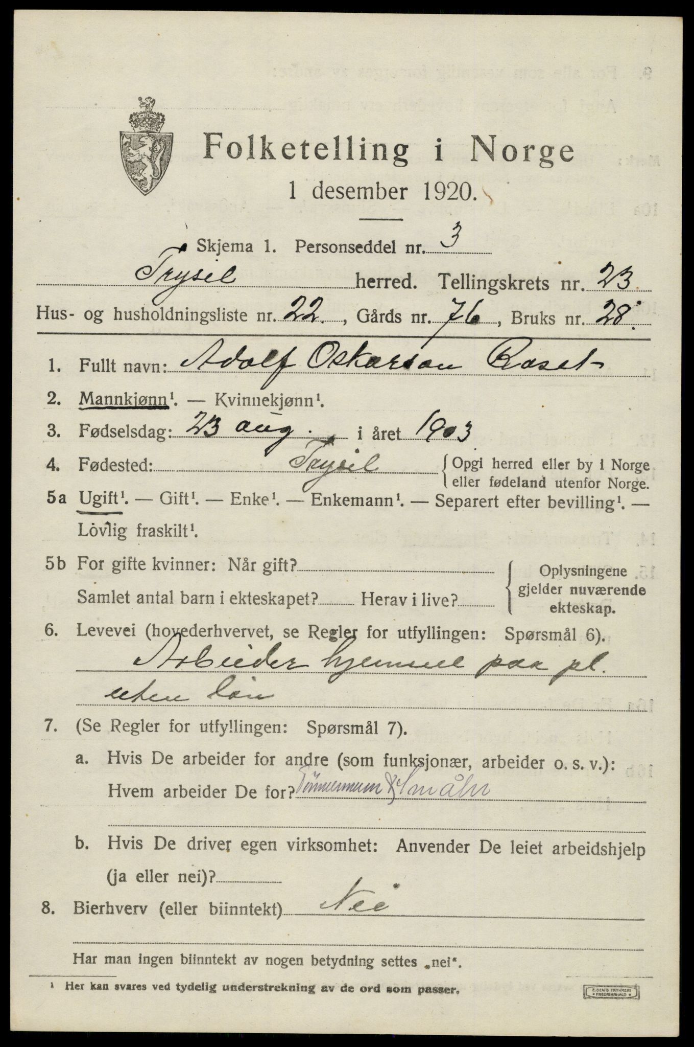 SAH, 1920 census for Trysil, 1920, p. 15113