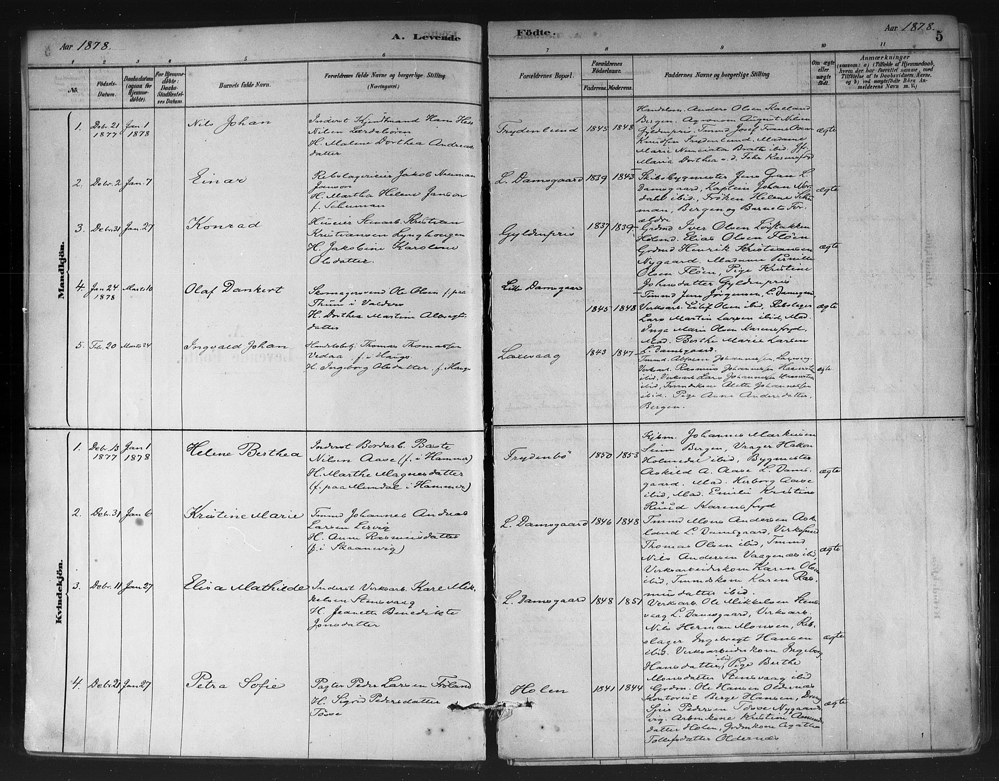 Askøy Sokneprestembete, SAB/A-74101/H/Ha/Haa/Haae/L0002: Parish register (official) no. E 2, 1878-1891, p. 5