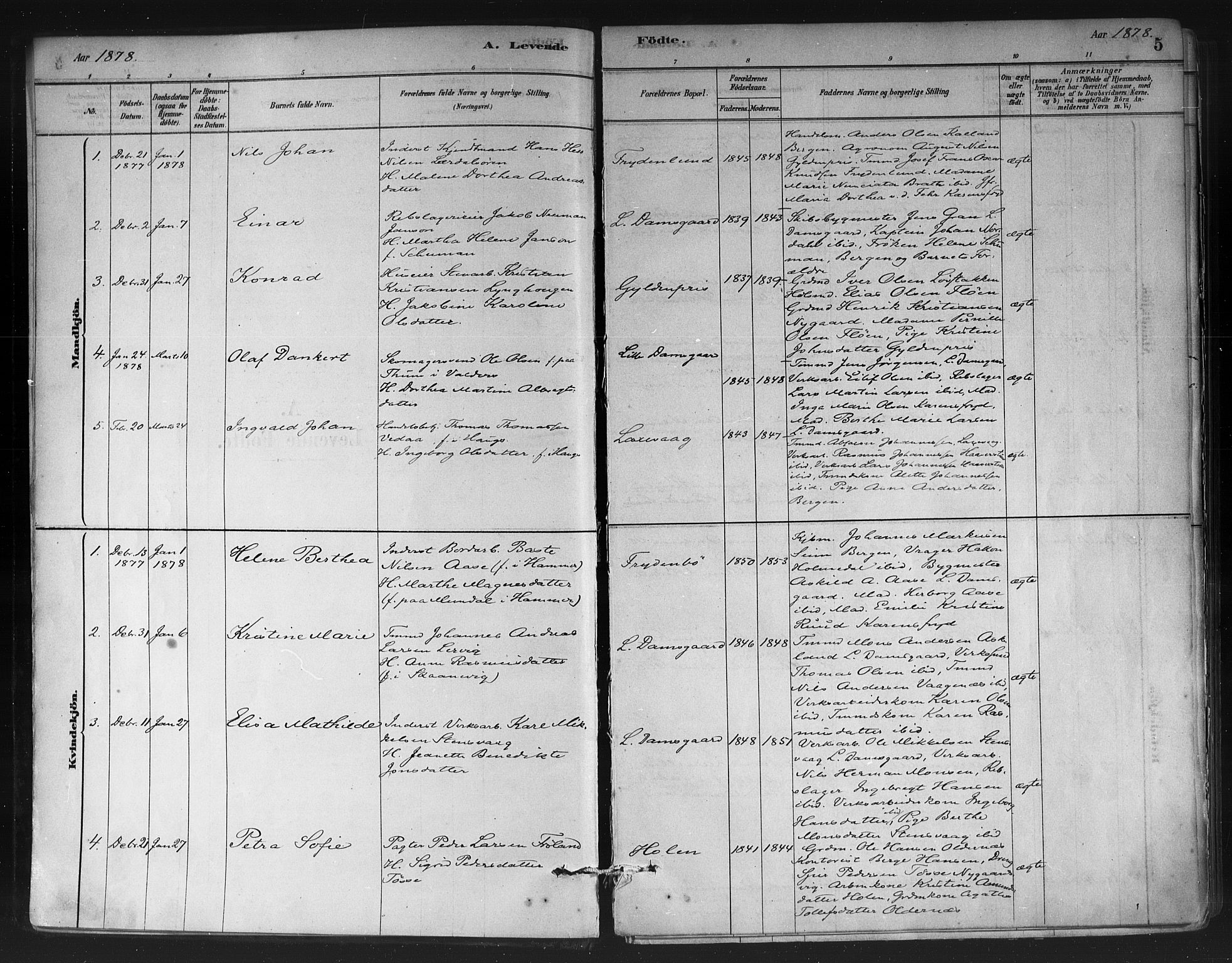 Askøy Sokneprestembete, AV/SAB-A-74101/H/Ha/Haa/Haae/L0002: Parish register (official) no. E 2, 1878-1891, p. 5