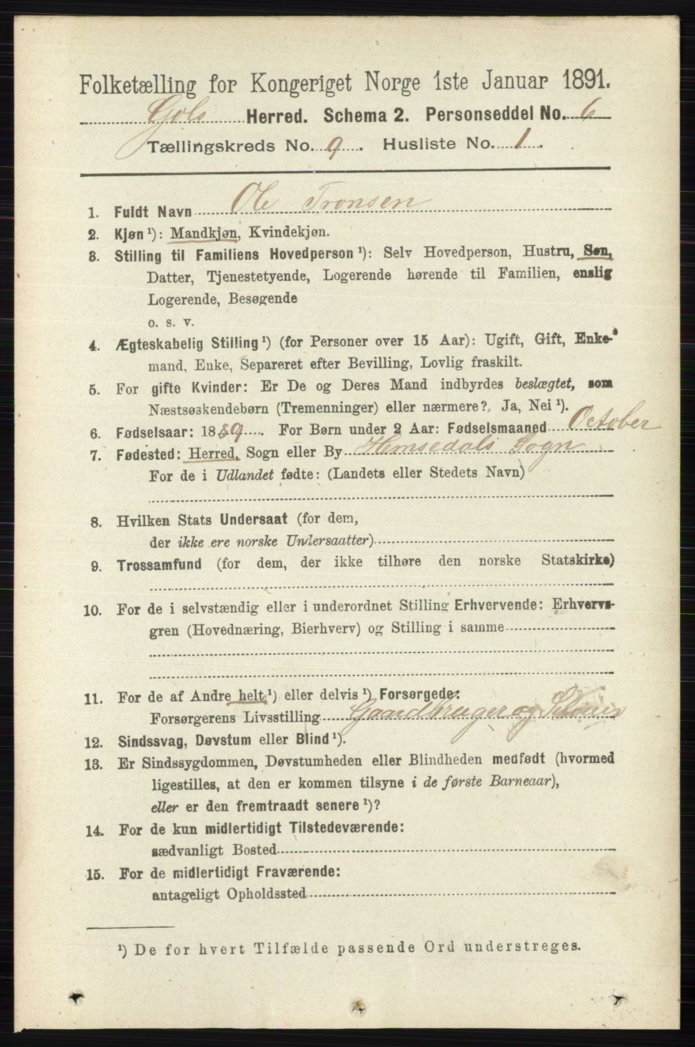 RA, 1891 census for 0617 Gol og Hemsedal, 1891, p. 3403