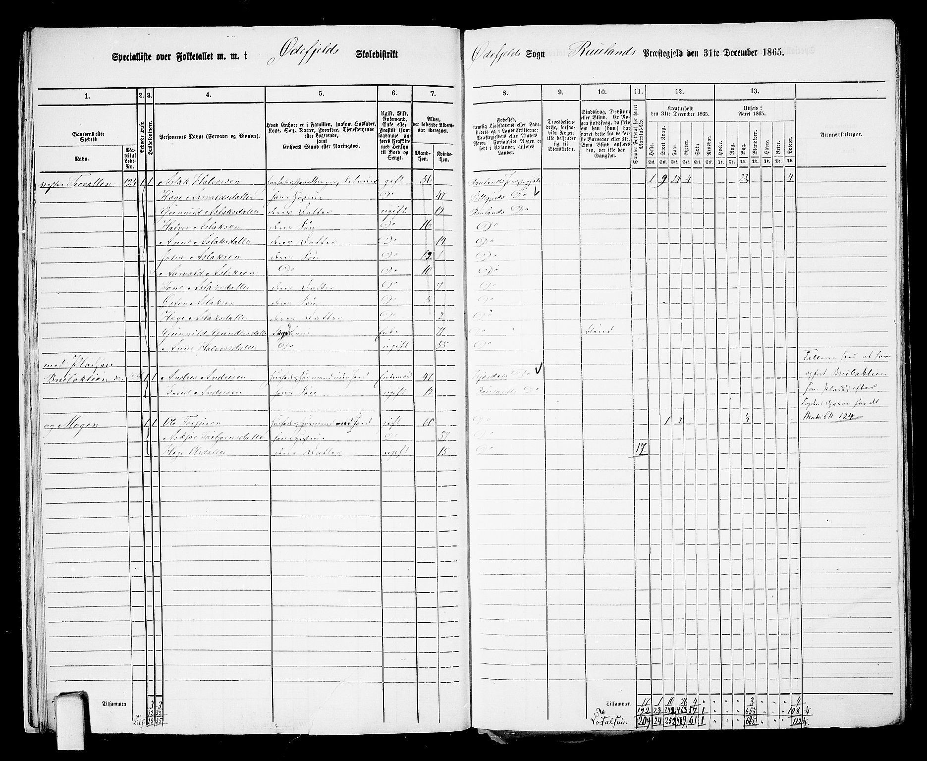 RA, 1865 census for Rauland, 1865, p. 20