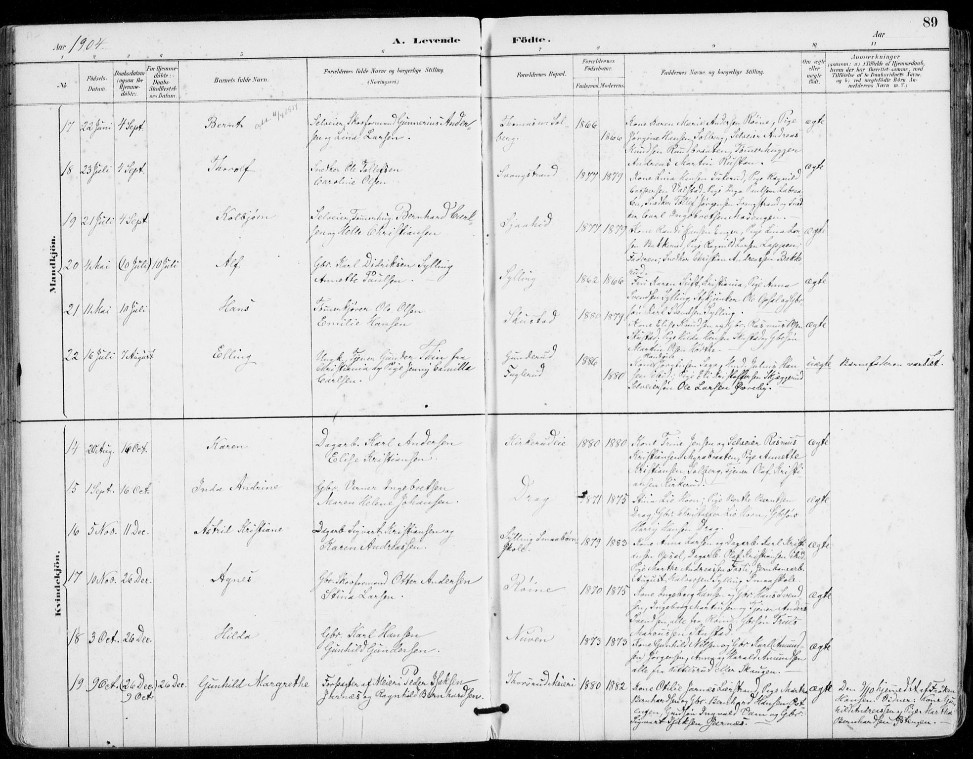 Sylling kirkebøker, AV/SAKO-A-247/F/Fa/L0001: Parish register (official) no. 1, 1883-1910, p. 89