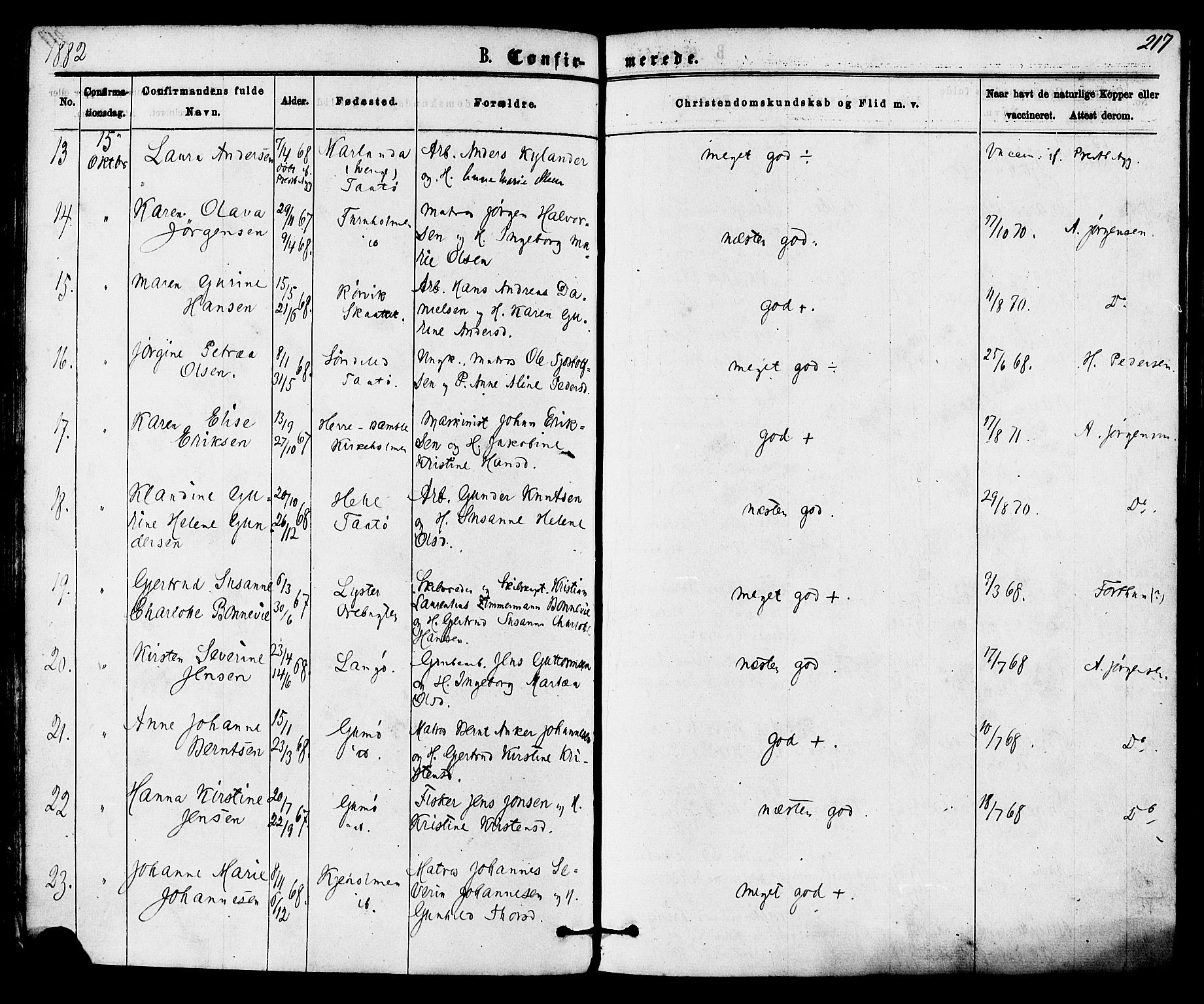 Skåtøy kirkebøker, SAKO/A-304/F/Fa/L0001: Parish register (official) no. I 1, 1874-1883, p. 217