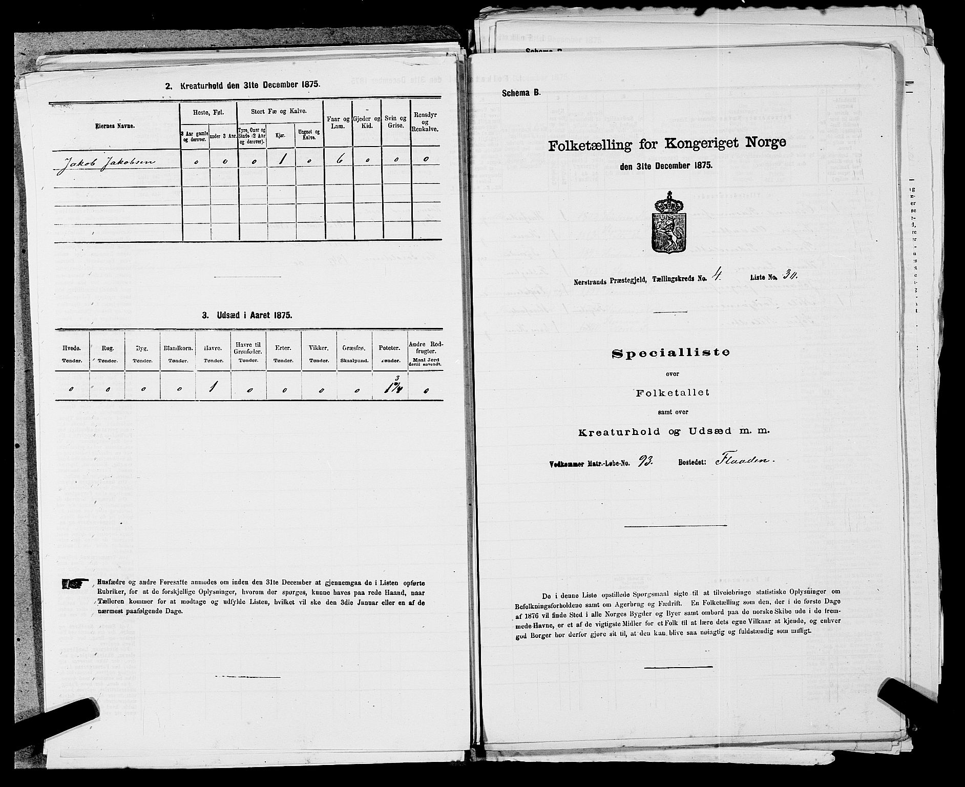 SAST, 1875 census for 1139P Nedstrand, 1875, p. 206