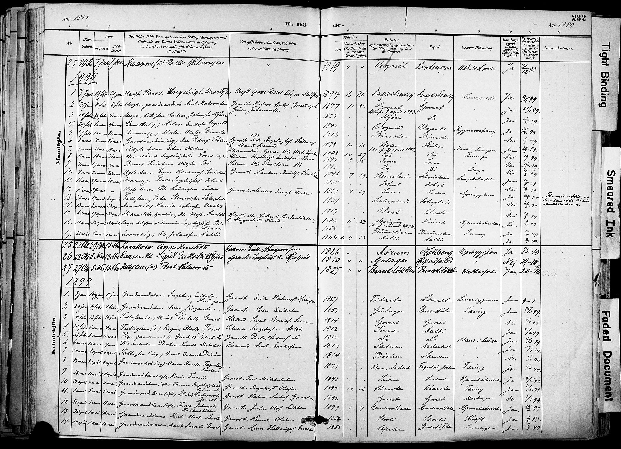 Ministerialprotokoller, klokkerbøker og fødselsregistre - Sør-Trøndelag, AV/SAT-A-1456/678/L0902: Parish register (official) no. 678A11, 1895-1911, p. 232