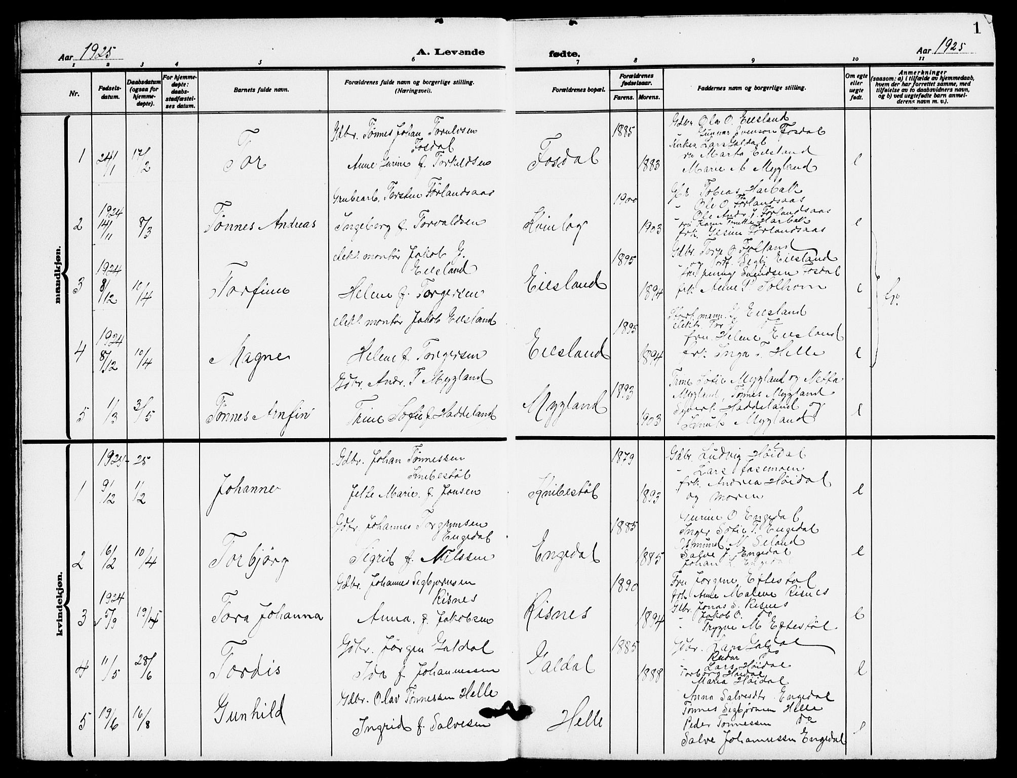 Fjotland sokneprestkontor, AV/SAK-1111-0010/F/Fb/L0004: Parish register (copy) no. B 4, 1925-1941, p. 1