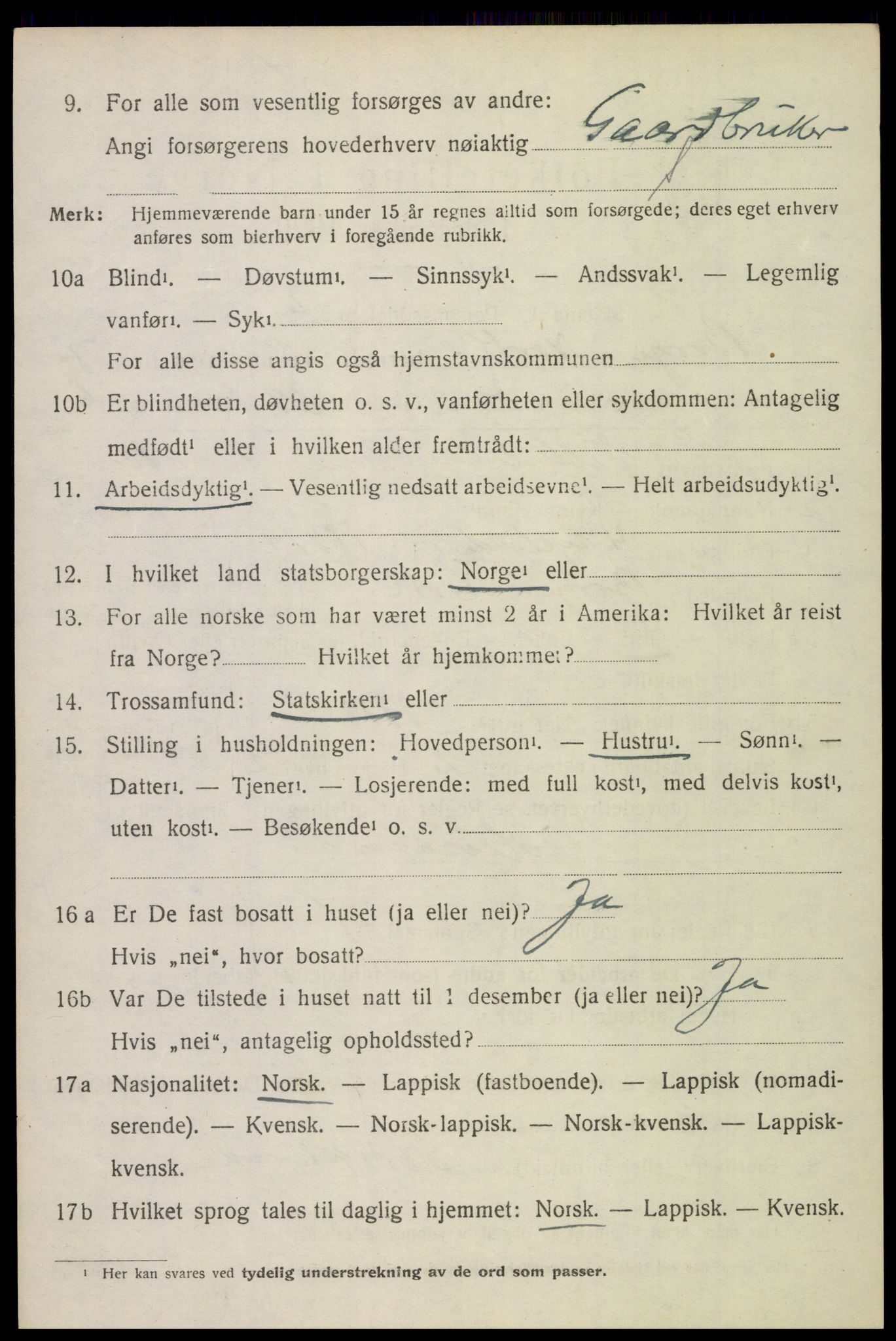 SAT, 1920 census for Borge, 1920, p. 6740