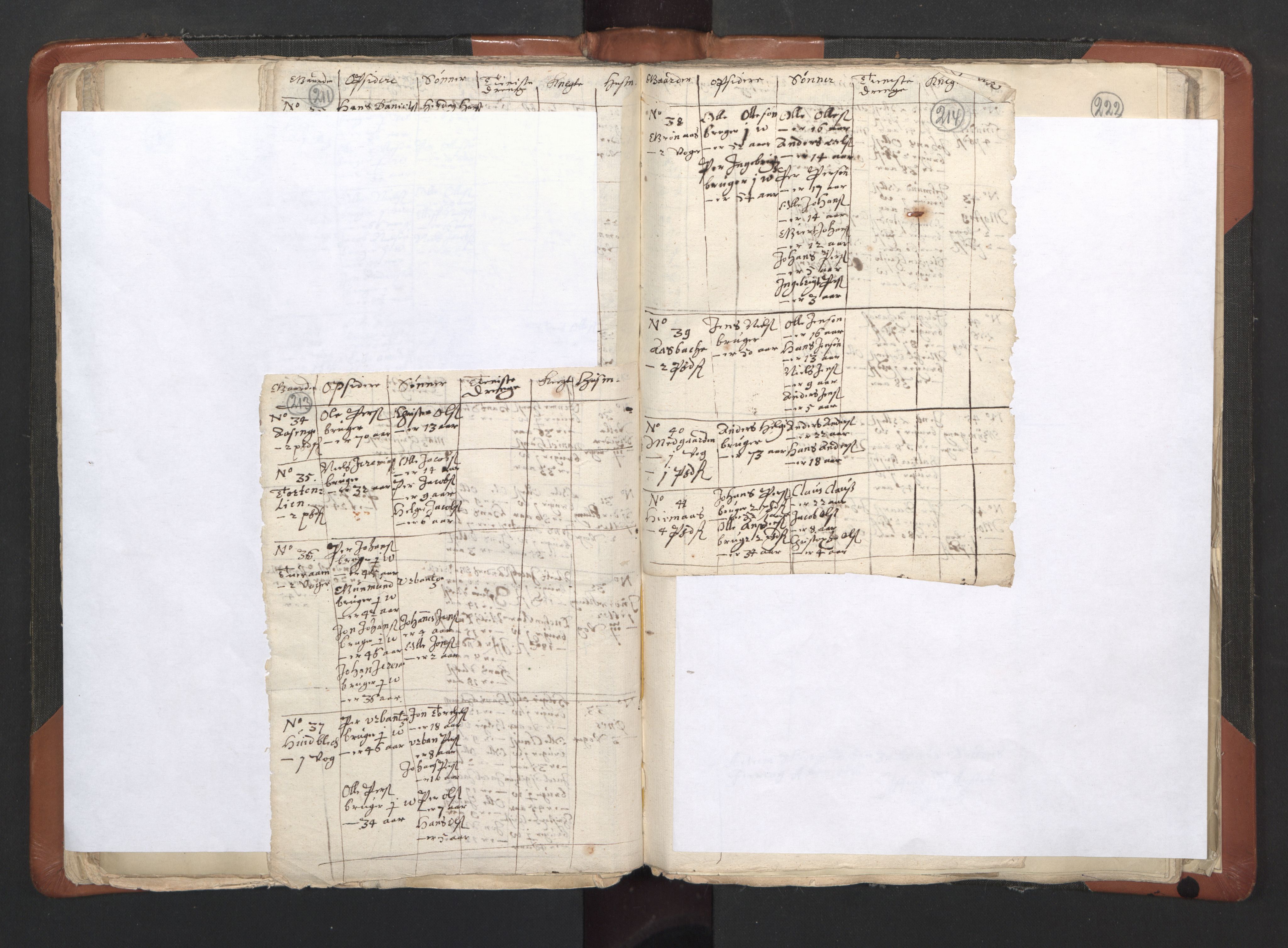 RA, Vicar's Census 1664-1666, no. 35: Helgeland deanery and Salten deanery, 1664-1666, p. 213-214