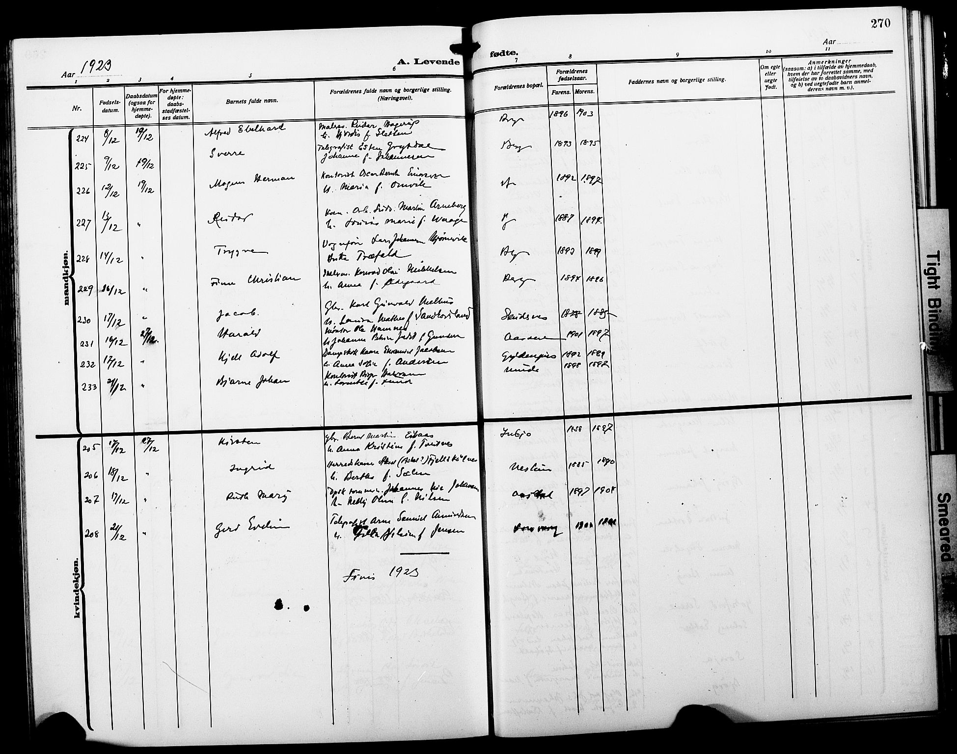 Fødselsstiftelsens sokneprestembete*, SAB/-: Parish register (copy) no. A 3, 1916-1925, p. 270