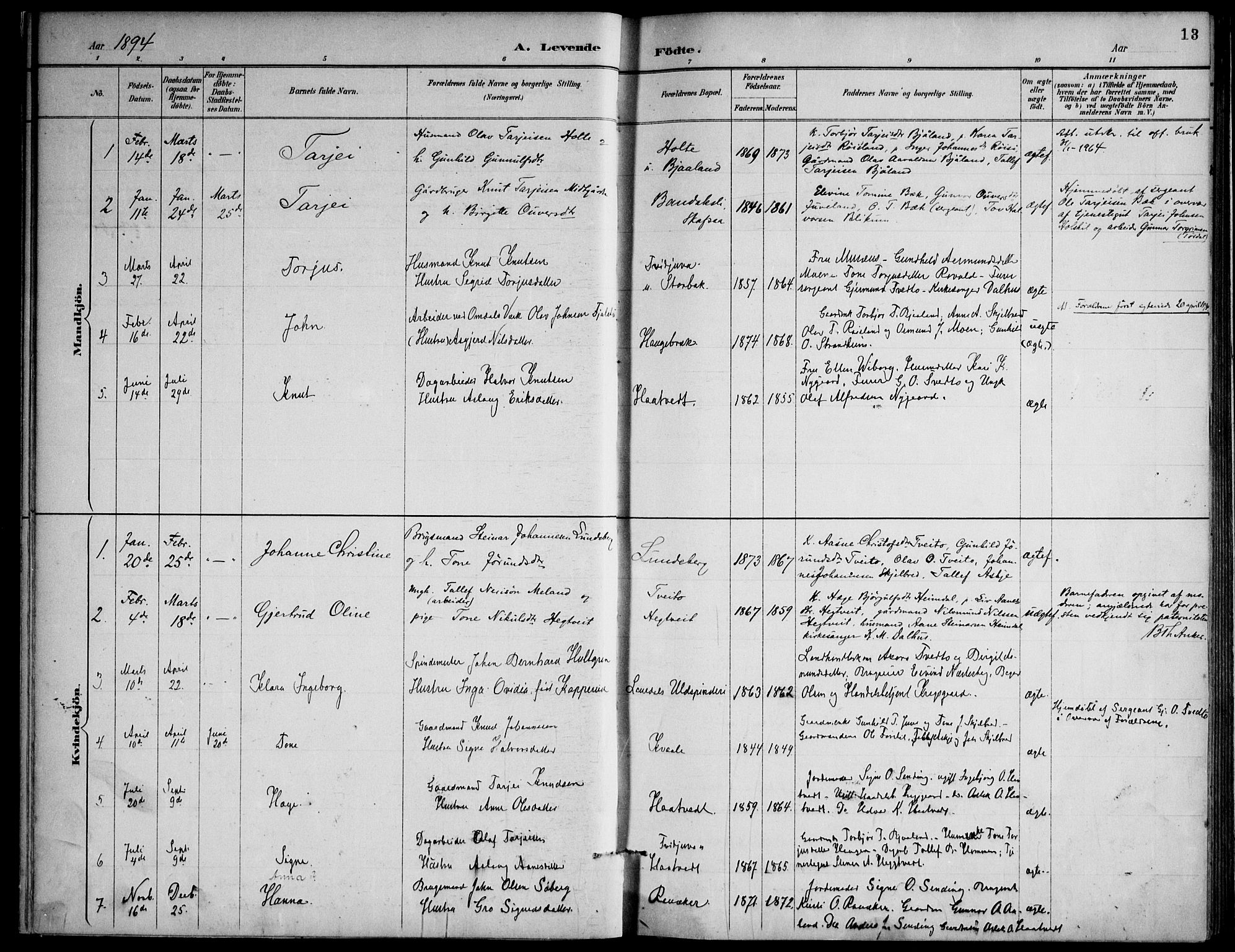 Lårdal kirkebøker, SAKO/A-284/F/Fa/L0007: Parish register (official) no. I 7, 1887-1906, p. 13