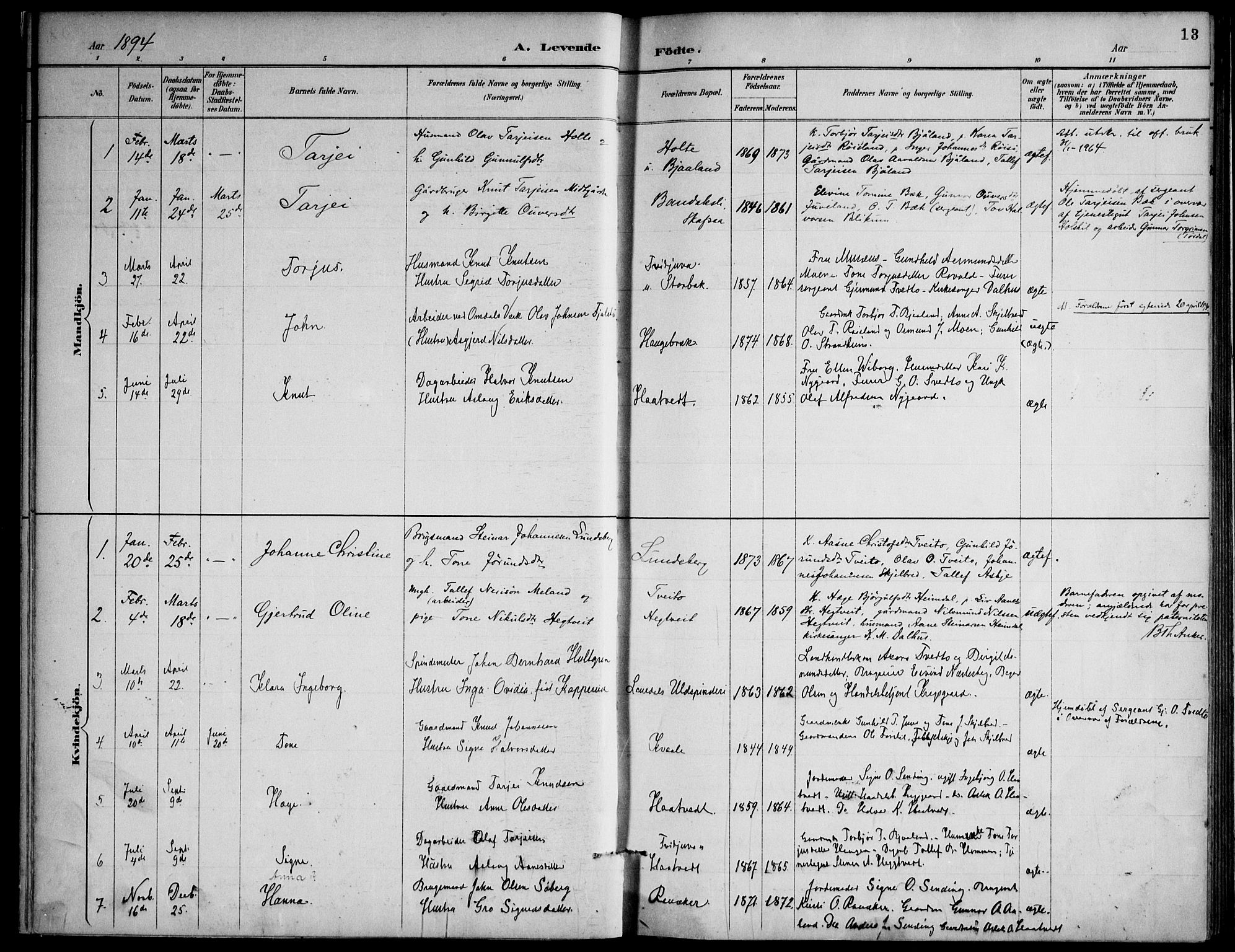 Lårdal kirkebøker, AV/SAKO-A-284/F/Fa/L0007: Parish register (official) no. I 7, 1887-1906, p. 13