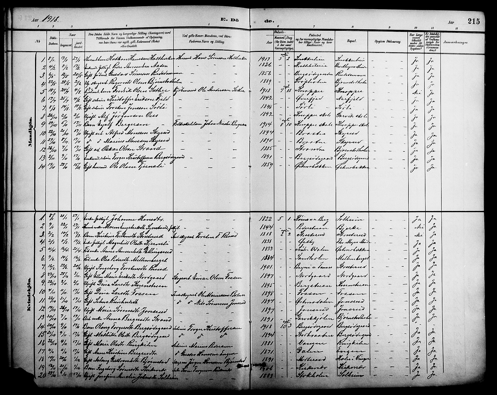 Nord-Odal prestekontor, AV/SAH-PREST-032/H/Ha/Hab/L0002: Parish register (copy) no. 2, 1895-1921, p. 215