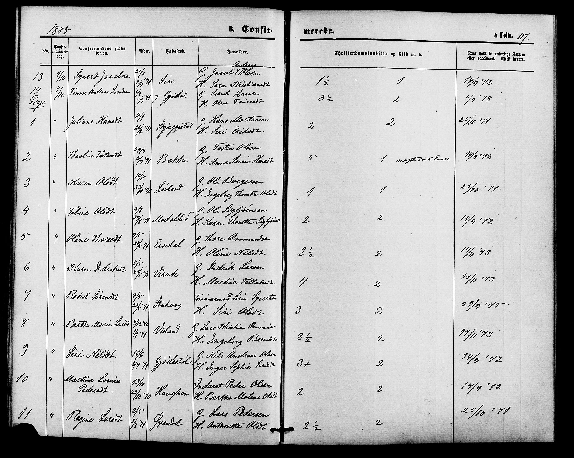 Bakke sokneprestkontor, AV/SAK-1111-0002/F/Fa/Faa/L0007: Parish register (official) no. A 7, 1877-1886, p. 117