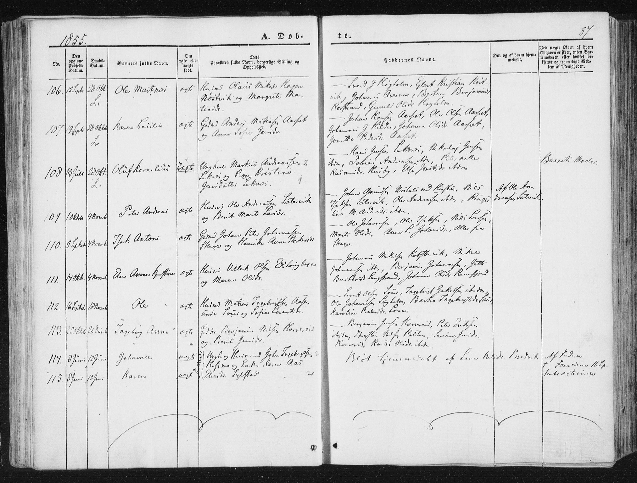 Ministerialprotokoller, klokkerbøker og fødselsregistre - Nord-Trøndelag, AV/SAT-A-1458/780/L0640: Parish register (official) no. 780A05, 1845-1856, p. 87