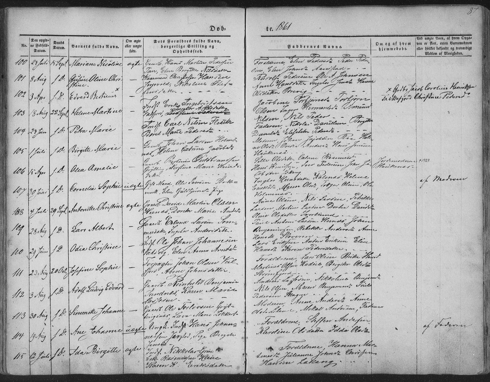 Ministerialprotokoller, klokkerbøker og fødselsregistre - Nordland, AV/SAT-A-1459/888/L1241: Parish register (official) no. 888A07, 1849-1869, p. 87