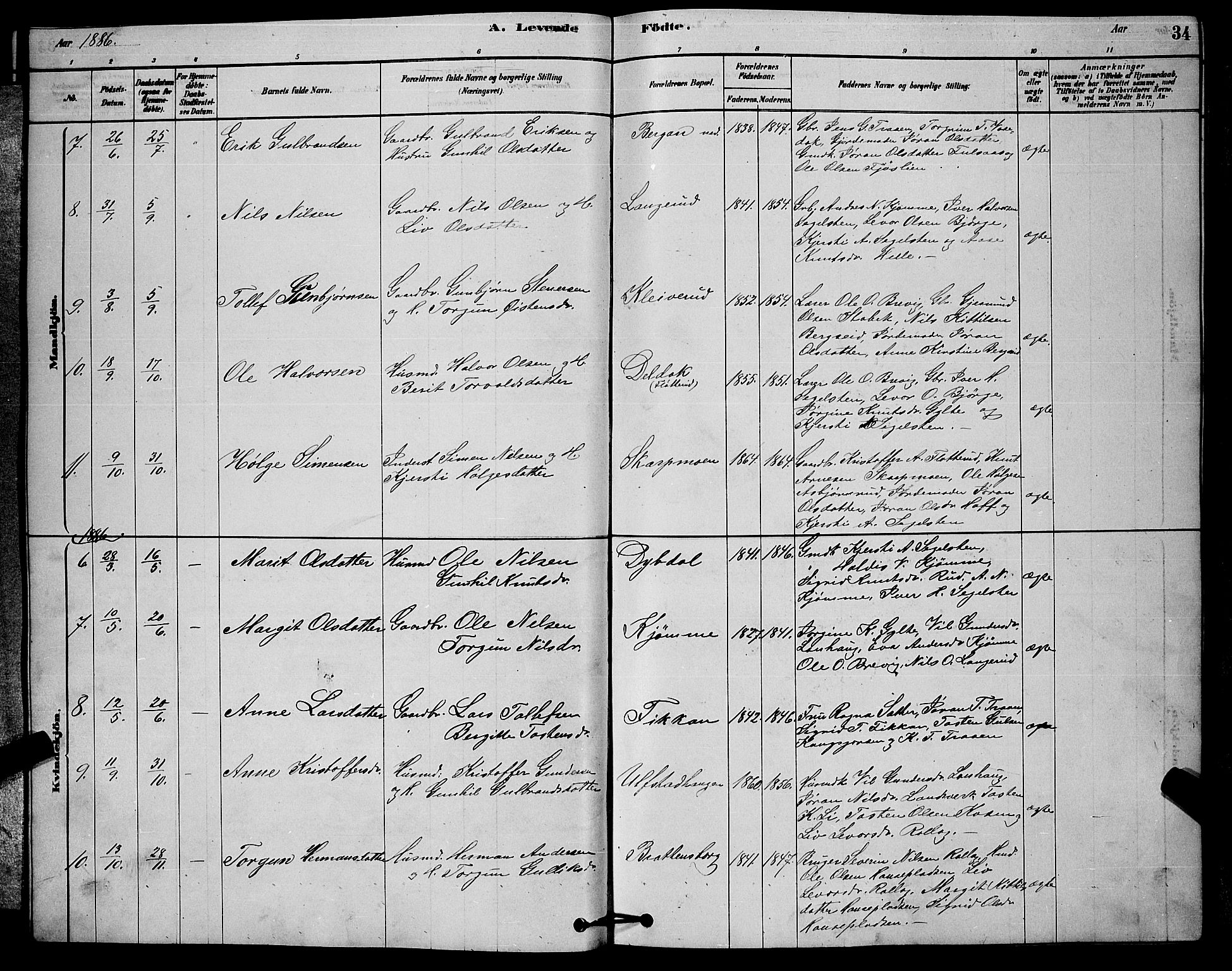 Rollag kirkebøker, AV/SAKO-A-240/G/Ga/L0004: Parish register (copy) no. I 4, 1878-1903, p. 34