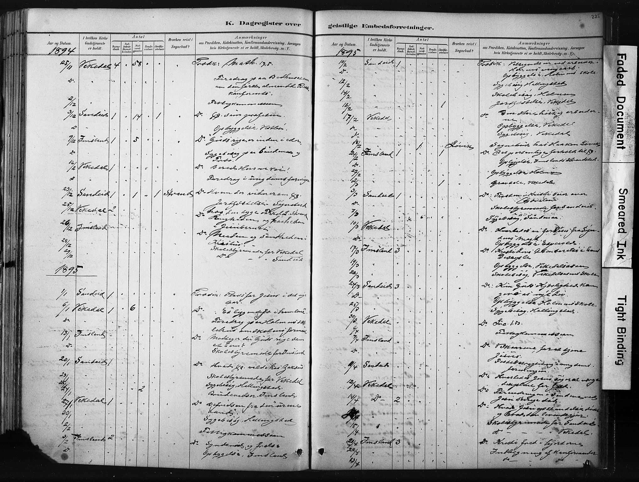 Vikedal sokneprestkontor, AV/SAST-A-101840/01/IV: Parish register (official) no. A 10, 1884-1907, p. 225