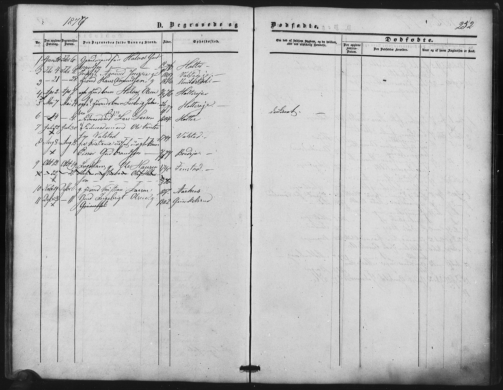 Nes prestekontor Kirkebøker, SAO/A-10410/F/Fb/L0001: Parish register (official) no. II 1, 1859-1882, p. 252