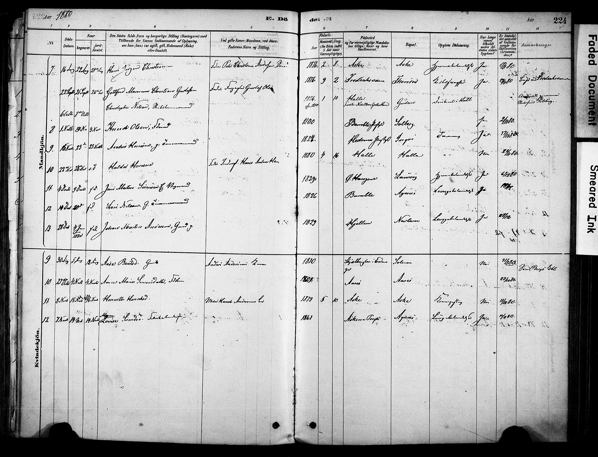 Brunlanes kirkebøker, AV/SAKO-A-342/F/Fc/L0001: Parish register (official) no. III 1, 1878-1899, p. 224