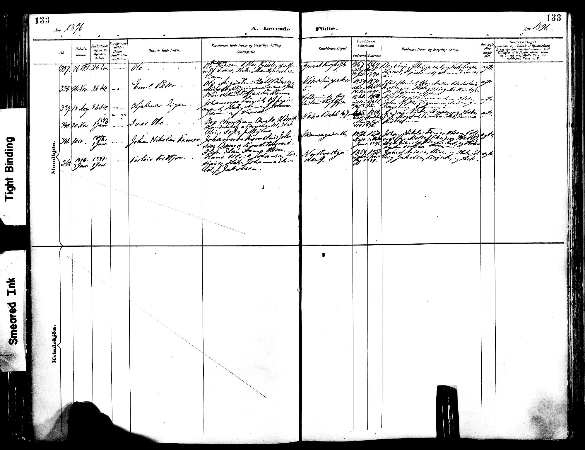 Ministerialprotokoller, klokkerbøker og fødselsregistre - Sør-Trøndelag, AV/SAT-A-1456/604/L0197: Parish register (official) no. 604A18, 1893-1900, p. 133