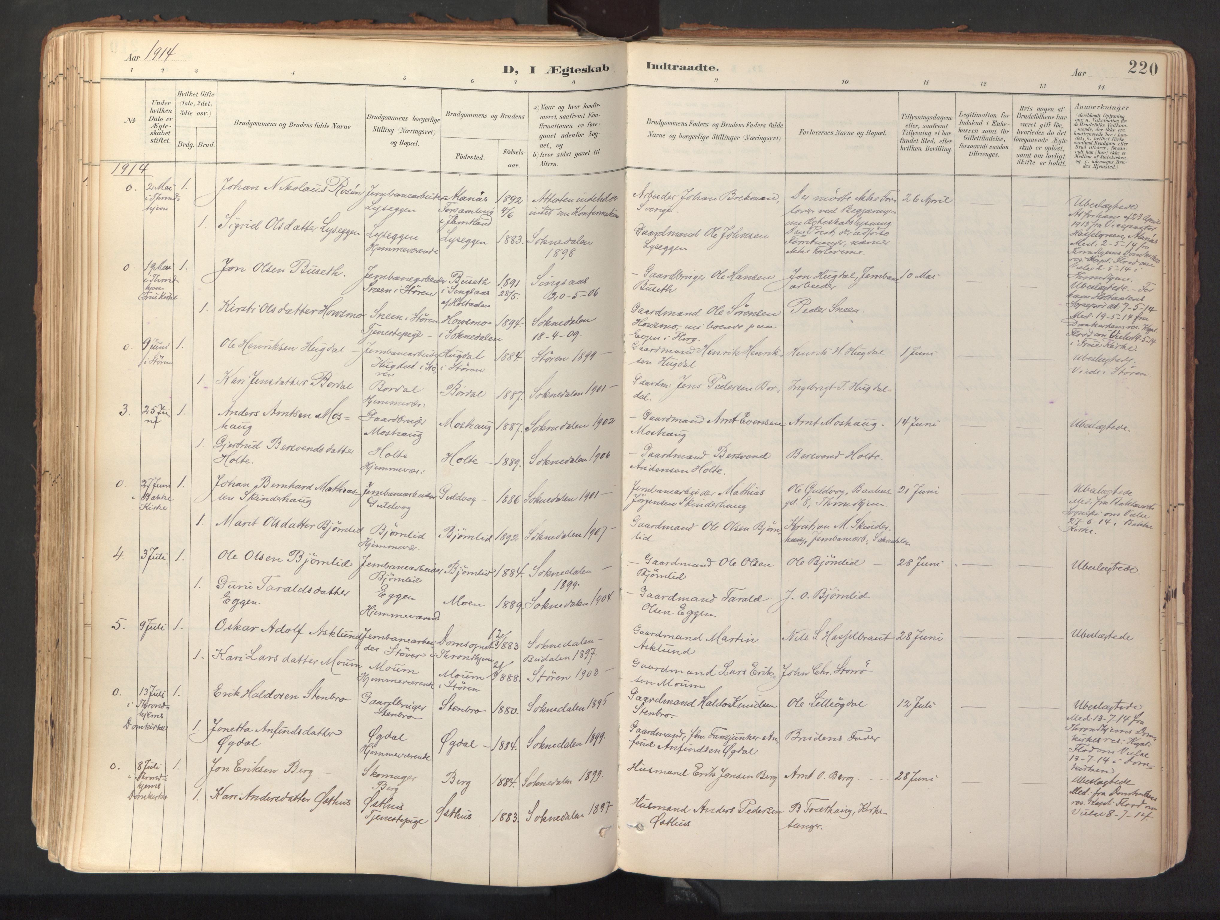 Ministerialprotokoller, klokkerbøker og fødselsregistre - Sør-Trøndelag, SAT/A-1456/689/L1041: Parish register (official) no. 689A06, 1891-1923, p. 220