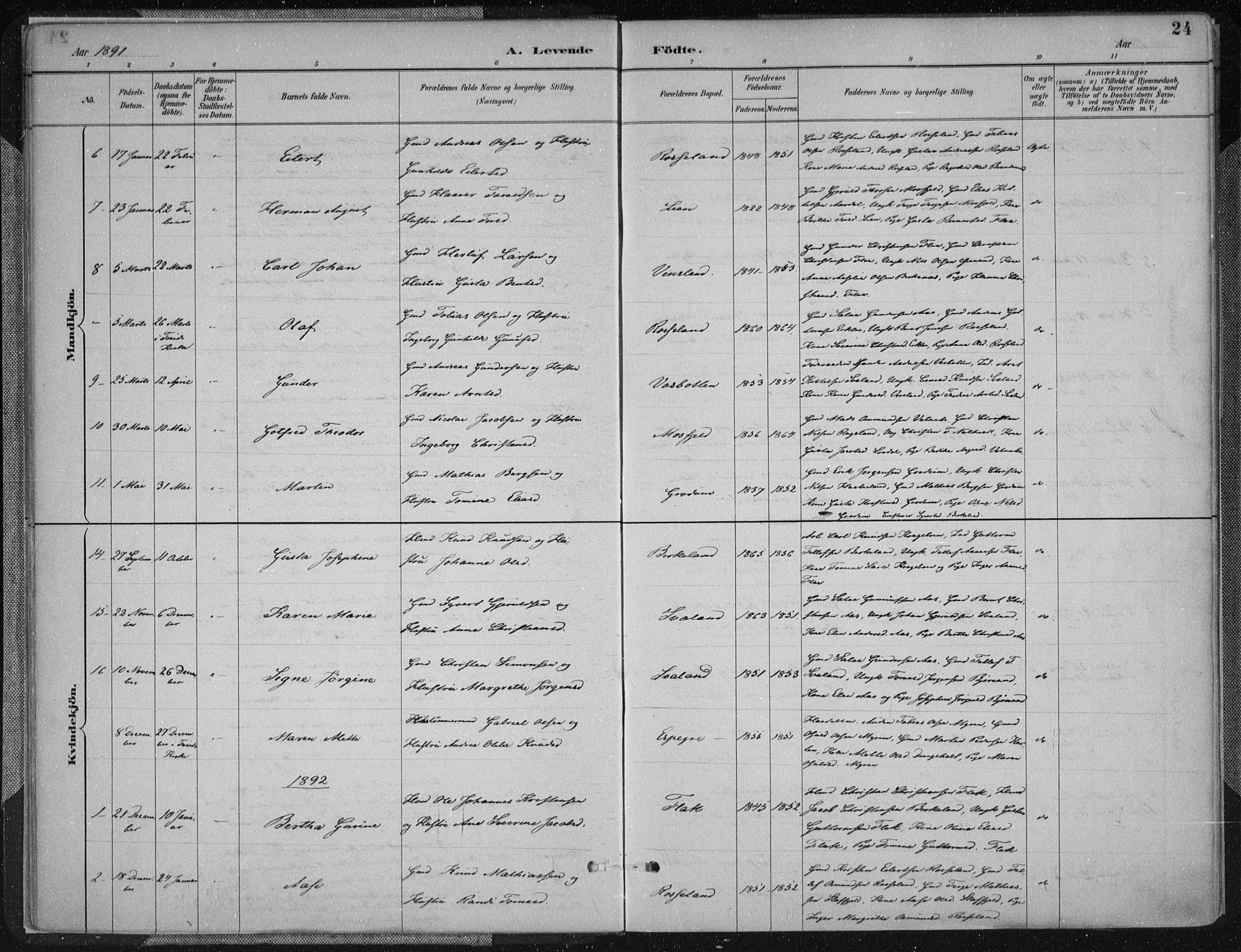 Birkenes sokneprestkontor, SAK/1111-0004/F/Fa/L0005: Parish register (official) no. A 5, 1887-1907, p. 24
