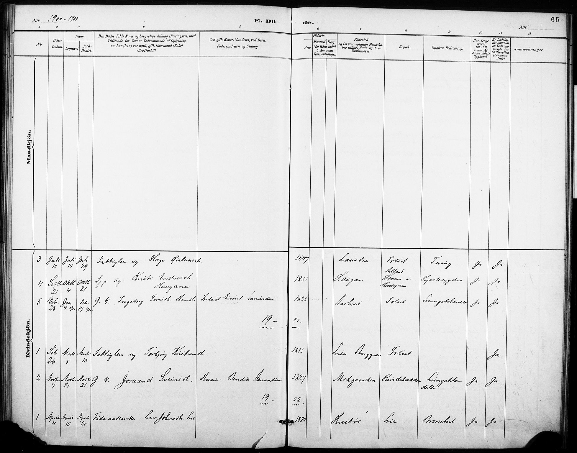 Fyresdal kirkebøker, SAKO/A-263/F/Fb/L0003: Parish register (official) no. II 3, 1887-1903, p. 65