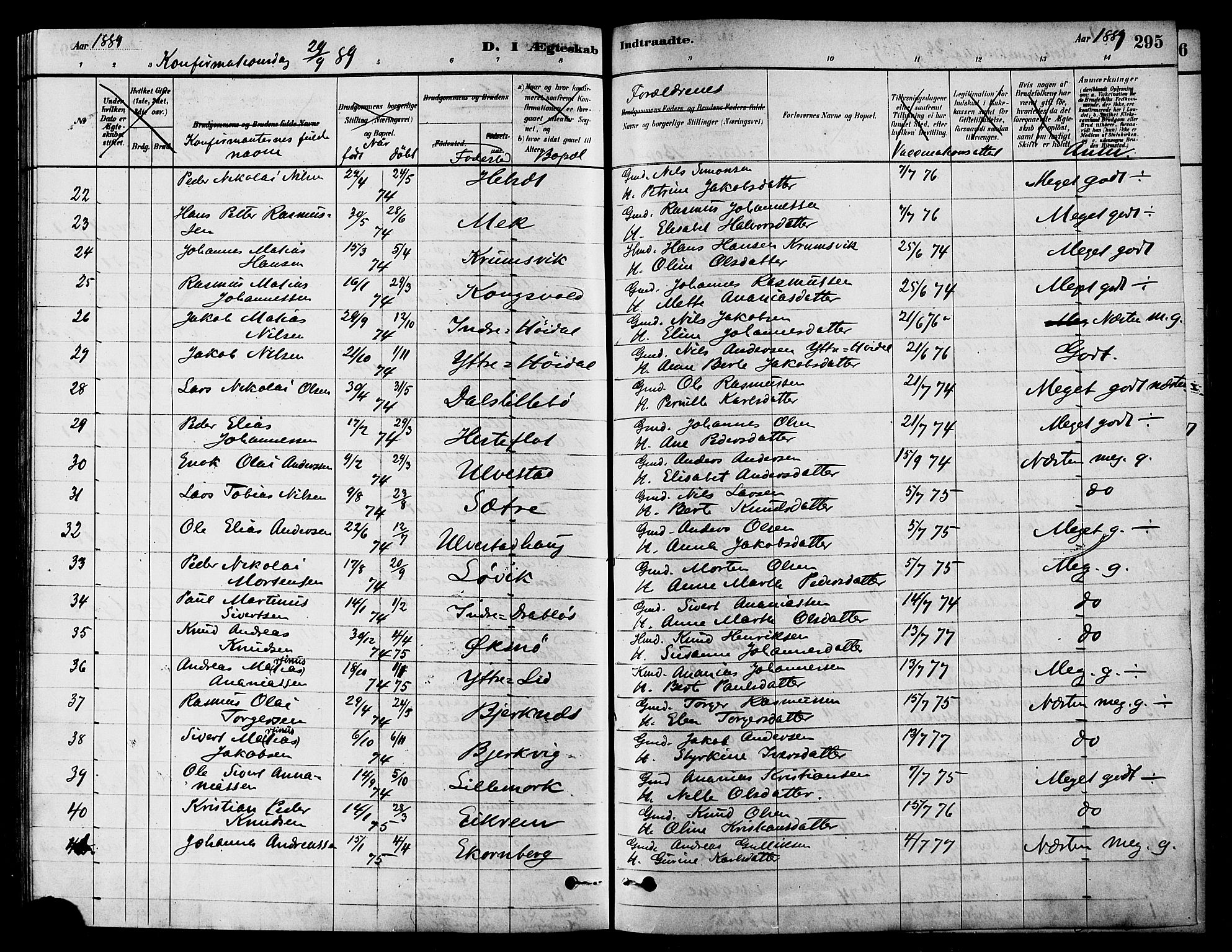 Ministerialprotokoller, klokkerbøker og fødselsregistre - Møre og Romsdal, AV/SAT-A-1454/511/L0141: Parish register (official) no. 511A08, 1878-1890, p. 295