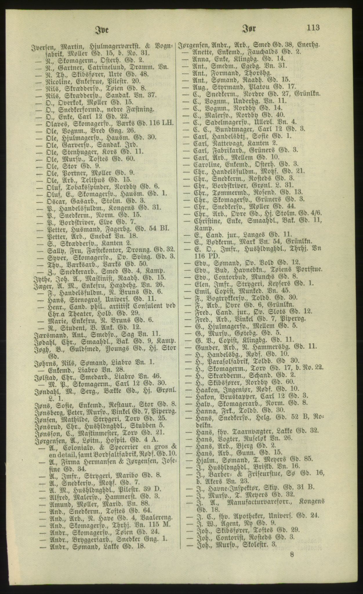 Kristiania/Oslo adressebok, PUBL/-, 1881, p. 113