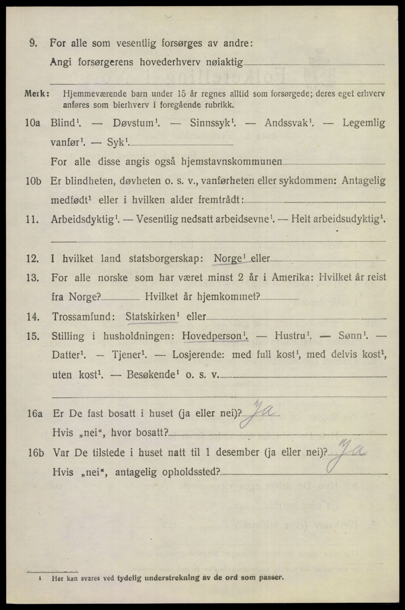 SAKO, 1920 census for Hol (Buskerud), 1920, p. 2412