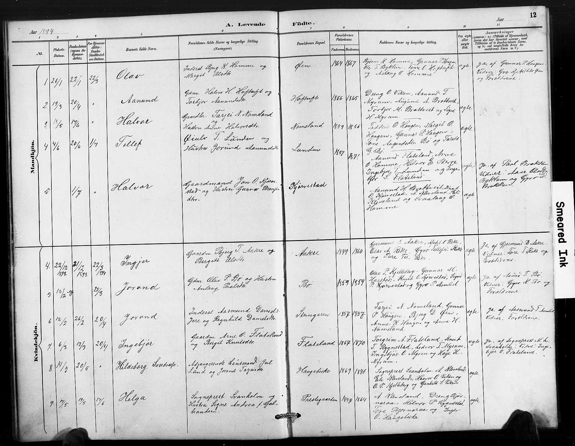 Valle sokneprestkontor, SAK/1111-0044/F/Fb/Fbc/L0004: Parish register (copy) no. B 4, 1890-1928, p. 12